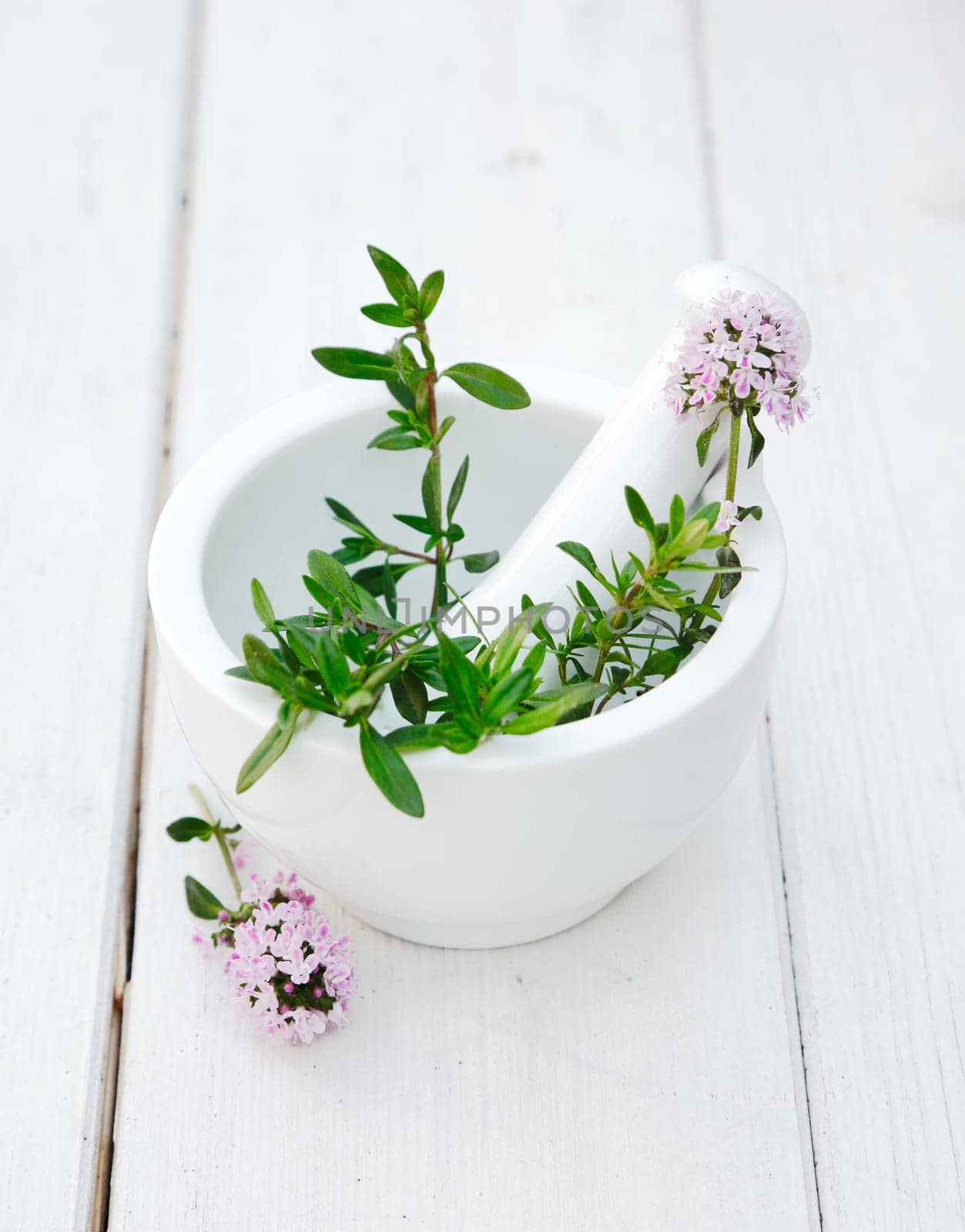 Thyme in a Mortar with pestle on a beautiful white wooden background