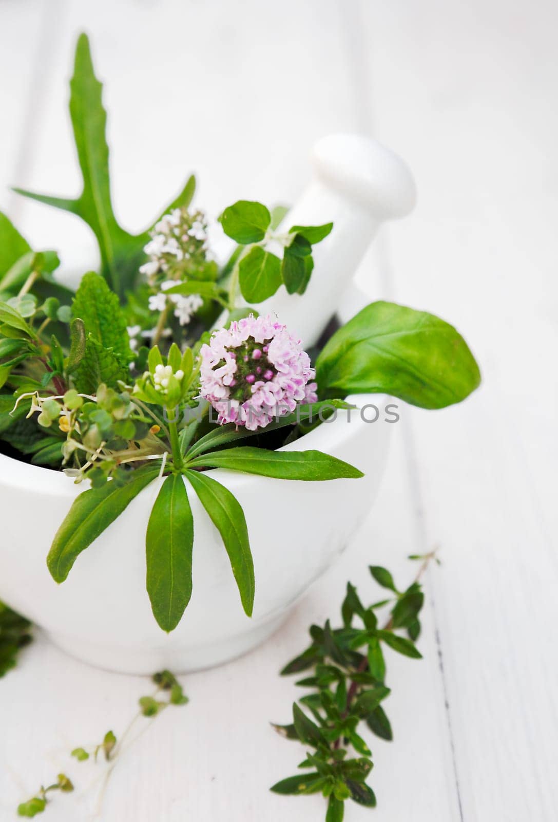 Assorted Herbs in a Mortar with pestle on white wooden background