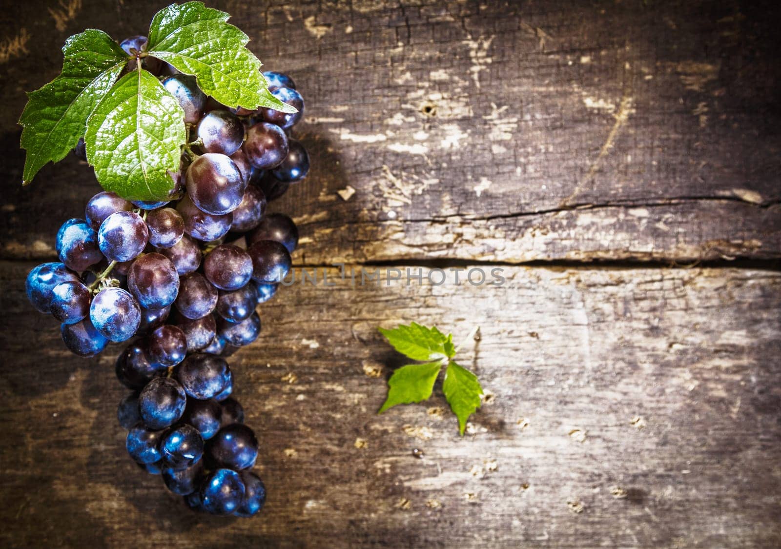 Blue Grapes on Rustic wooden board with copyspace and blank room