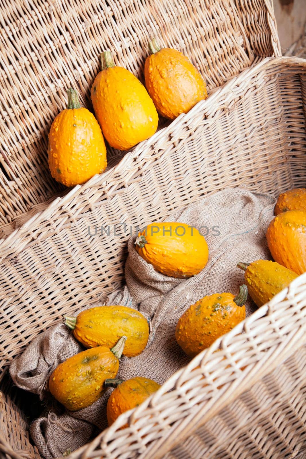 Beautiful arrangement of pumpkins in a box for country style concepts
