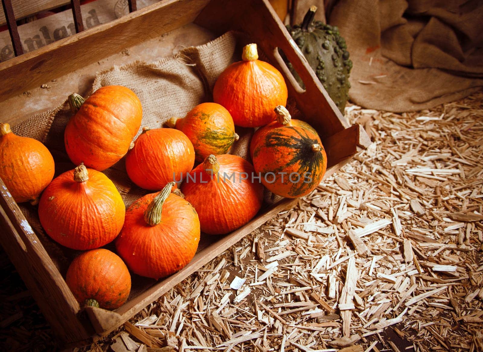 Pumpkins in a crate on a straw background for fall concepts