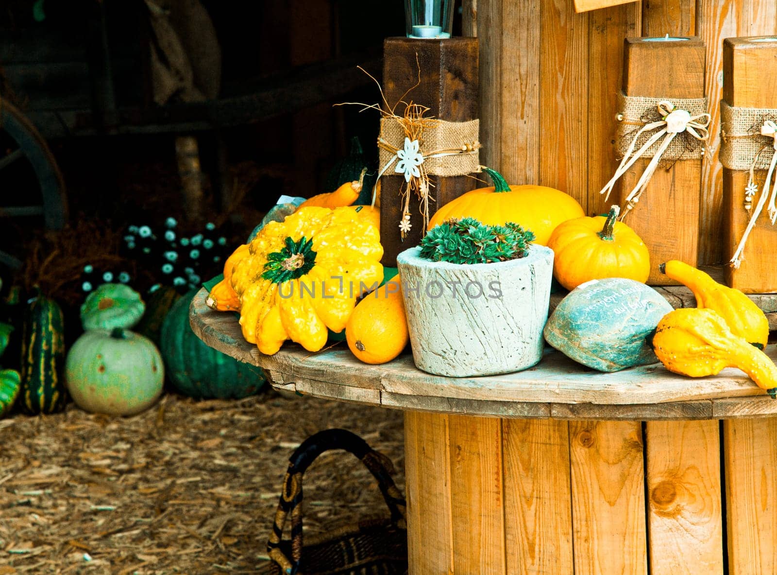Different Sorts of Pumpkins on a wooden rounded Table for fall concepts