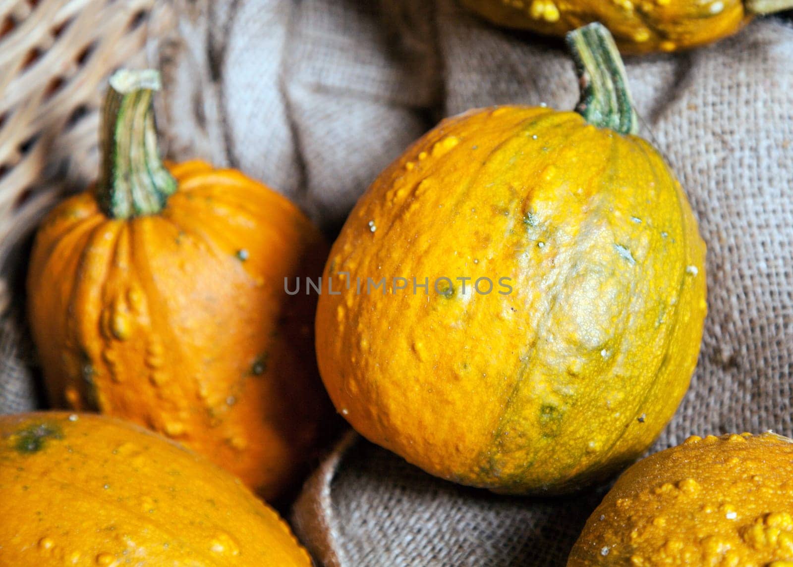 Some yellow Gourds in a crate as a close up