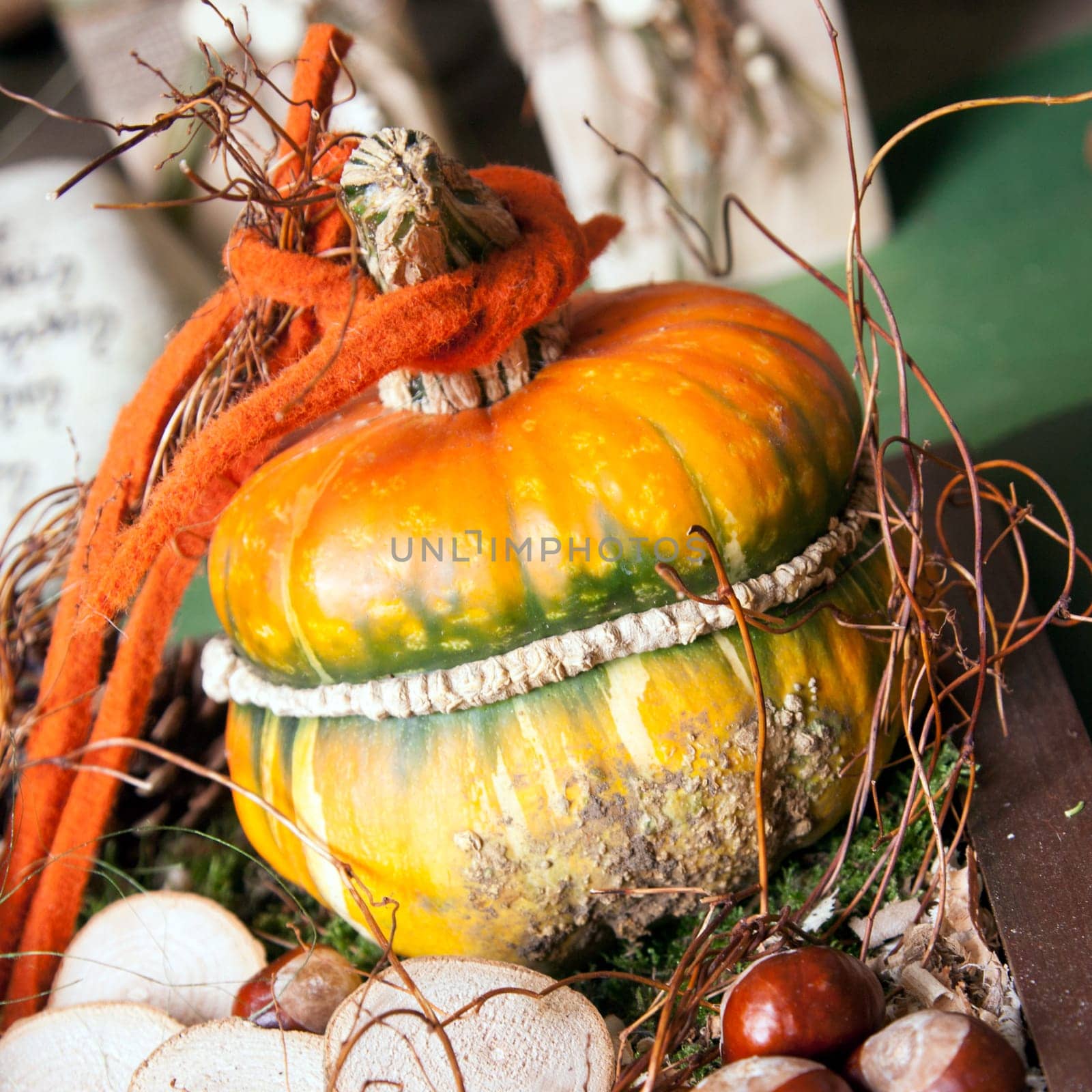 On beautiful yellow decorated pumpkin with some chestnuts in autumn