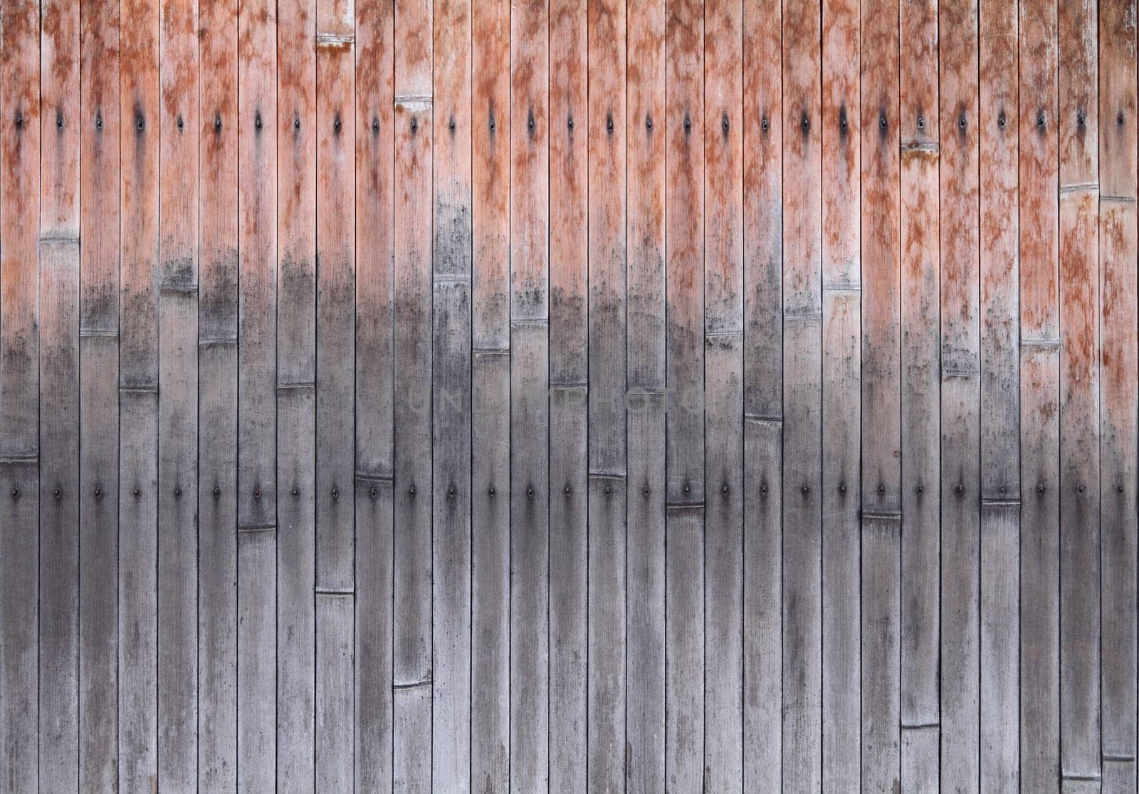 Bamboo background