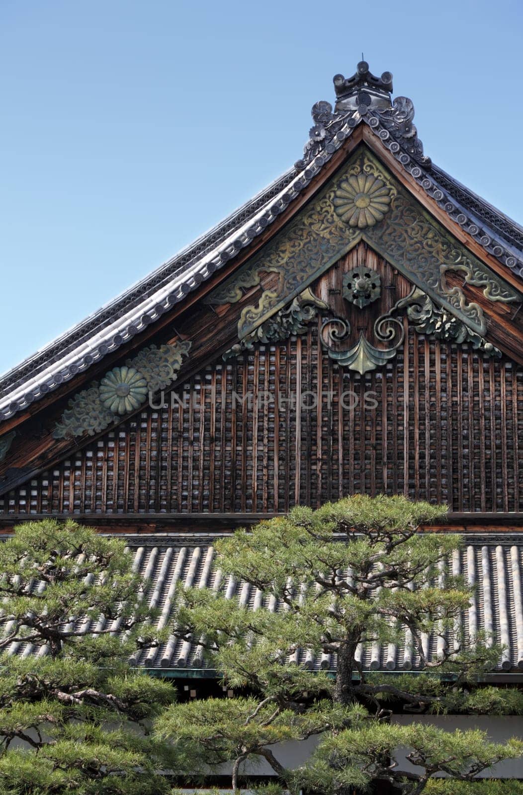 Nijo Castle is a flatland castle located in Kyoto, Japan, was built for the first shogun Tokugawa Ieyasu.  It is now a UNESCO World Heritage site.