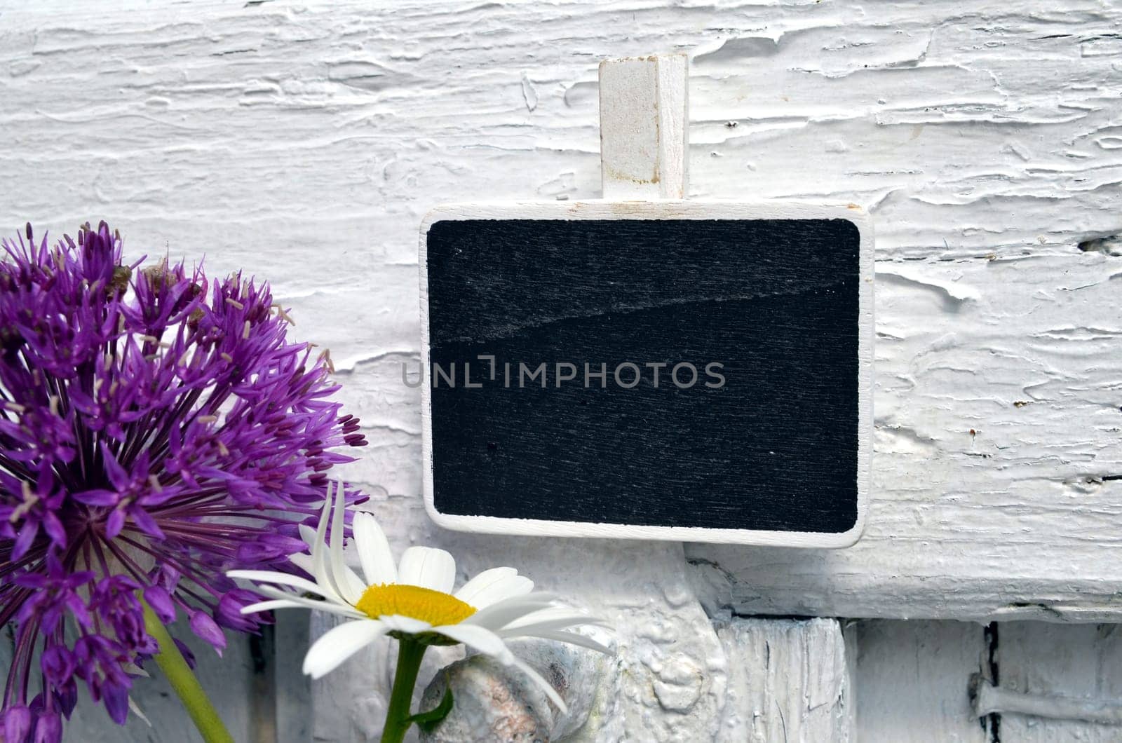Chalkboard with purple allium flower