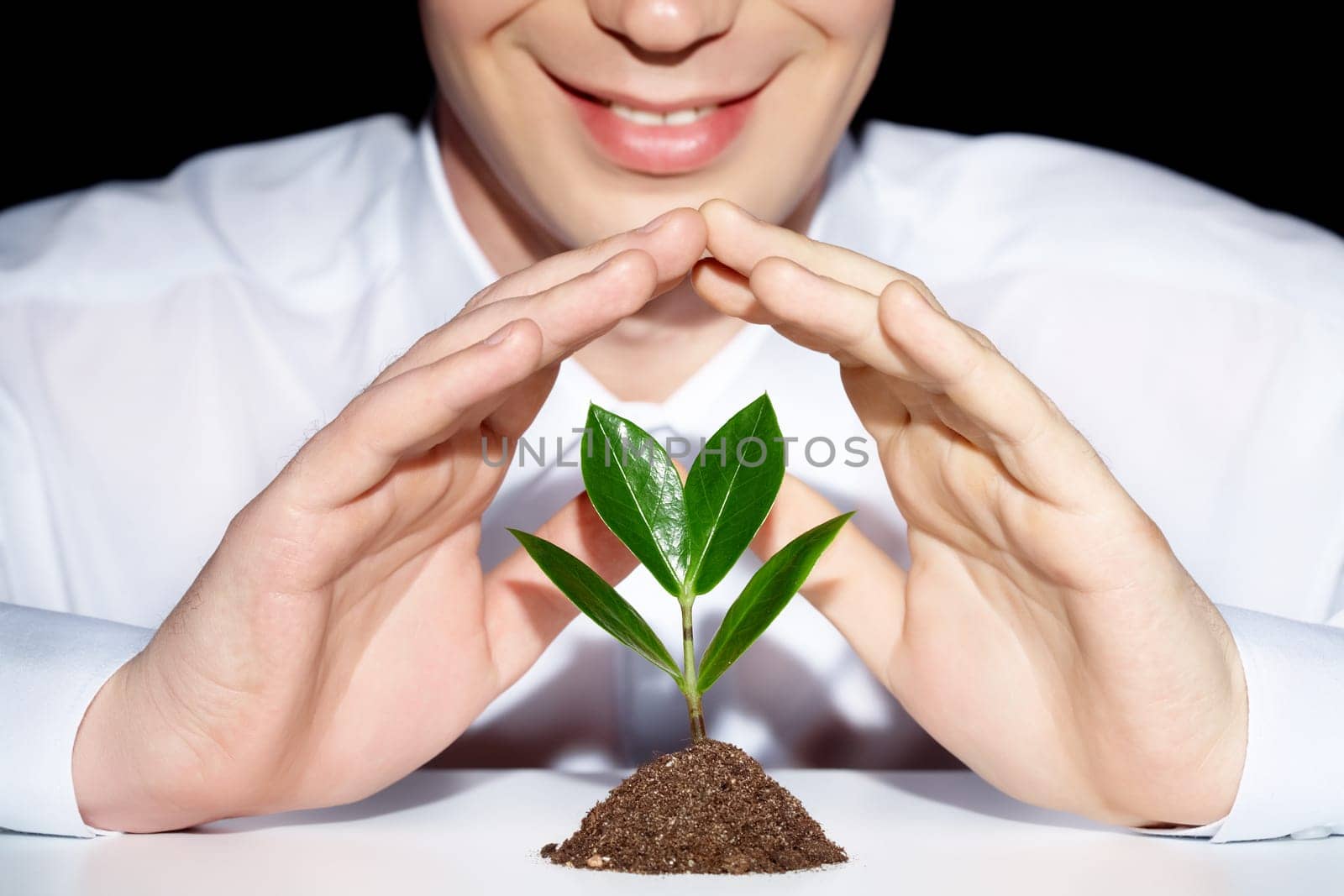 Photo of businessmans hands preserve a young plant