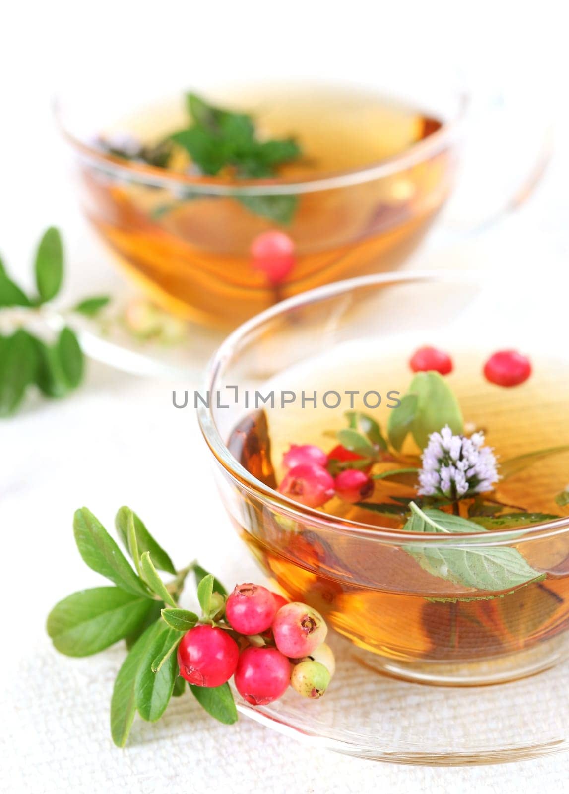 Lingonberry tea with mint leaves