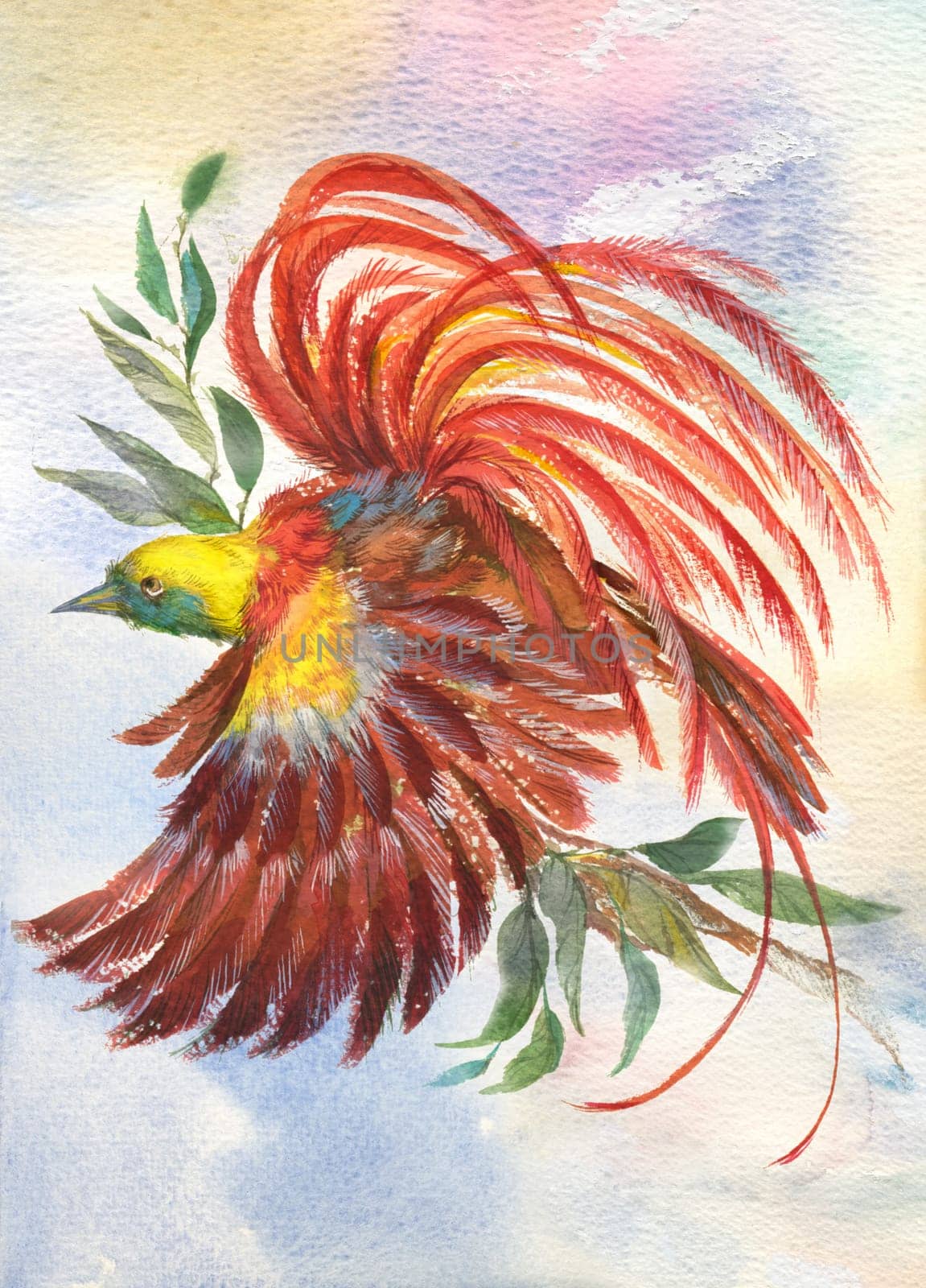 Painting of bright colorful bird with big feathers