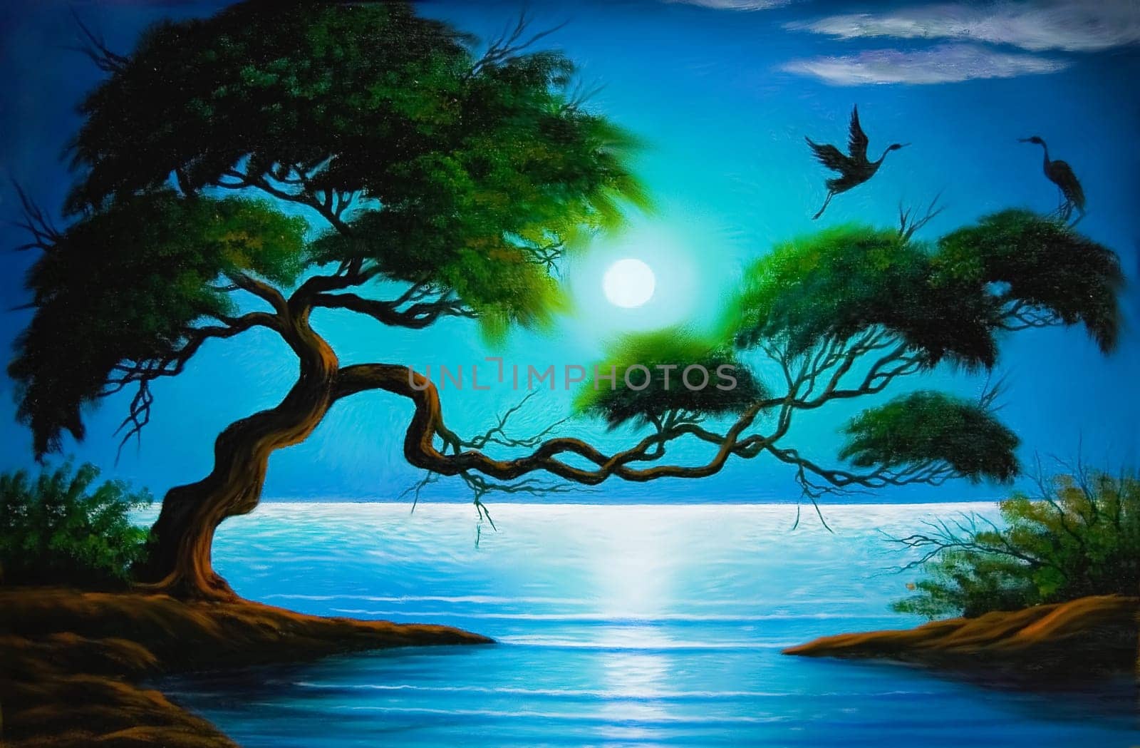 Picture of massive tree on the coast with storks near by