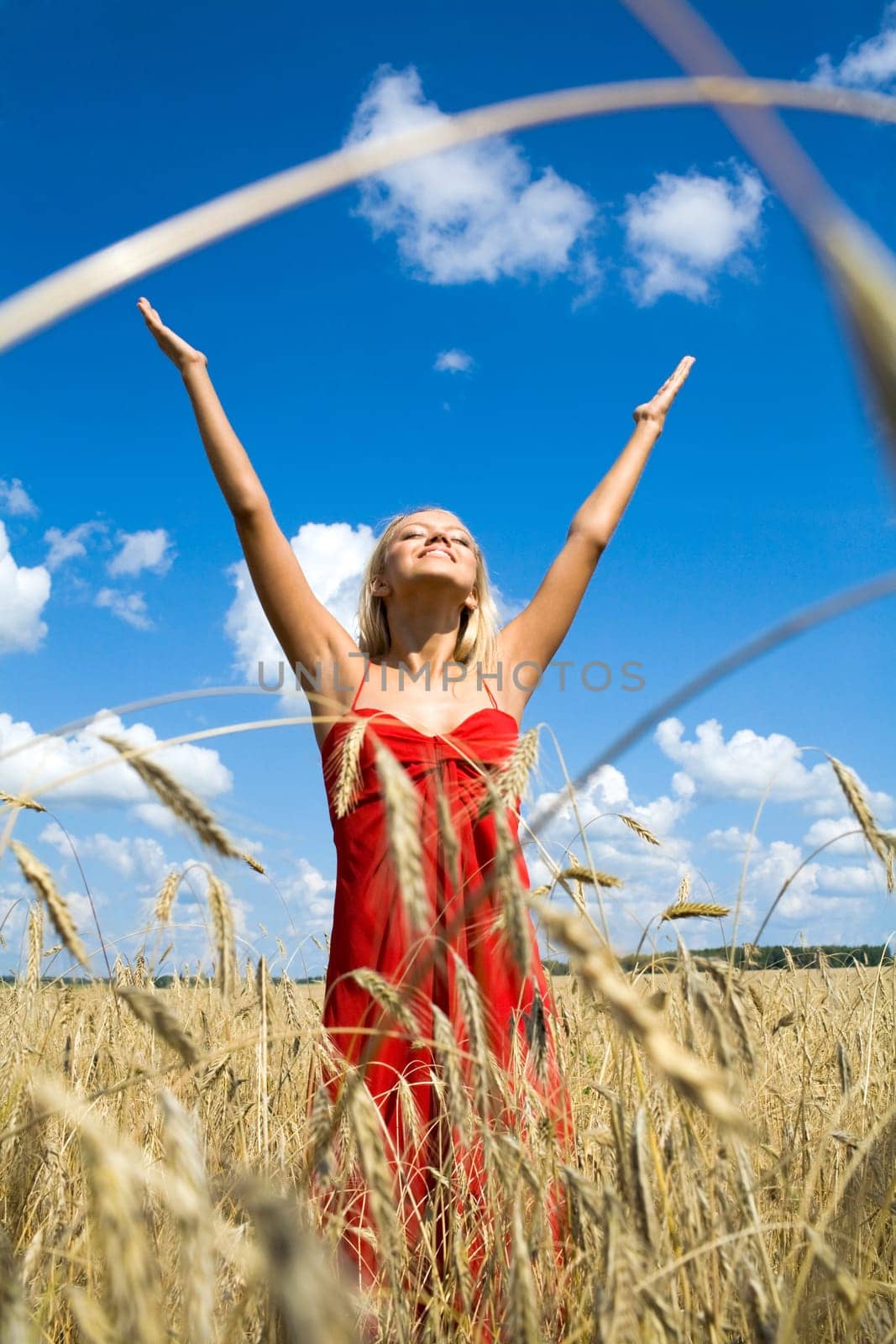 Photo of excited female in red dress standing with her arms raised in wheat field