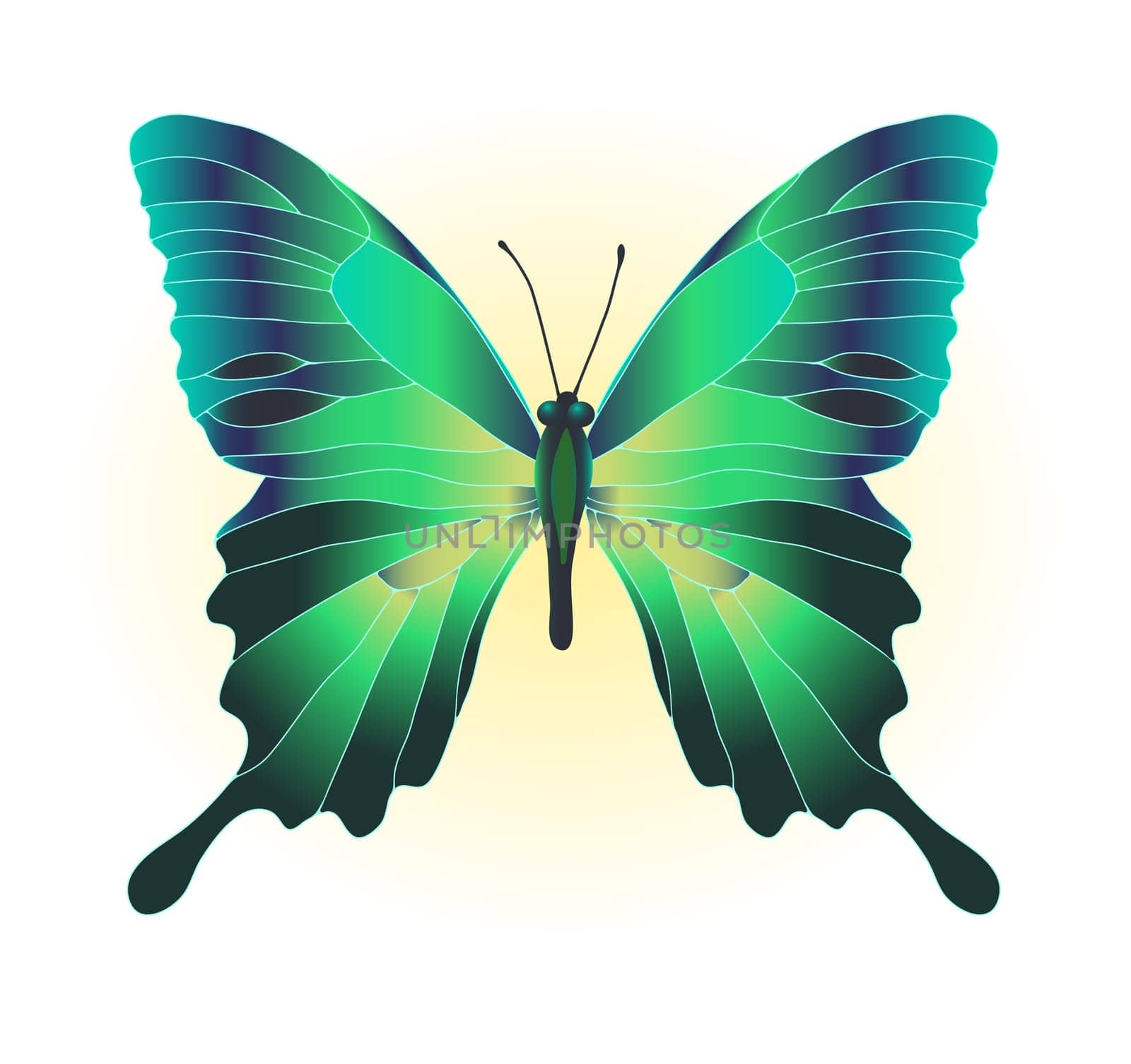 Vector illustration of beautiful green butterfly