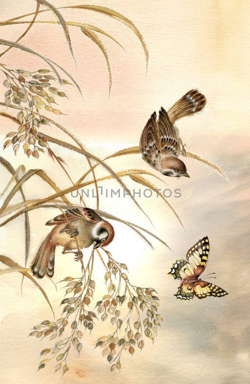 Painting of two sparrows sitting on stems and watching beautiful butterfly at sunrise
