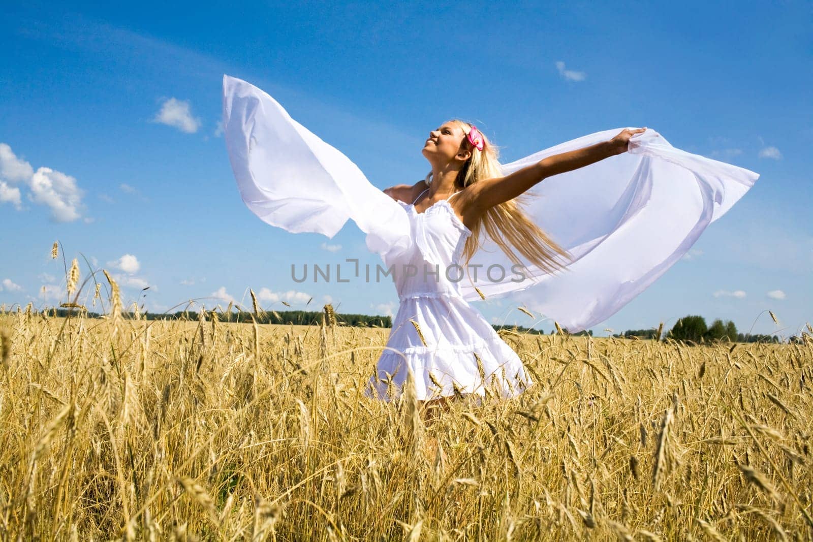 Photo of excited female with white chiffon shawl in wheat meadow and looking at sky
