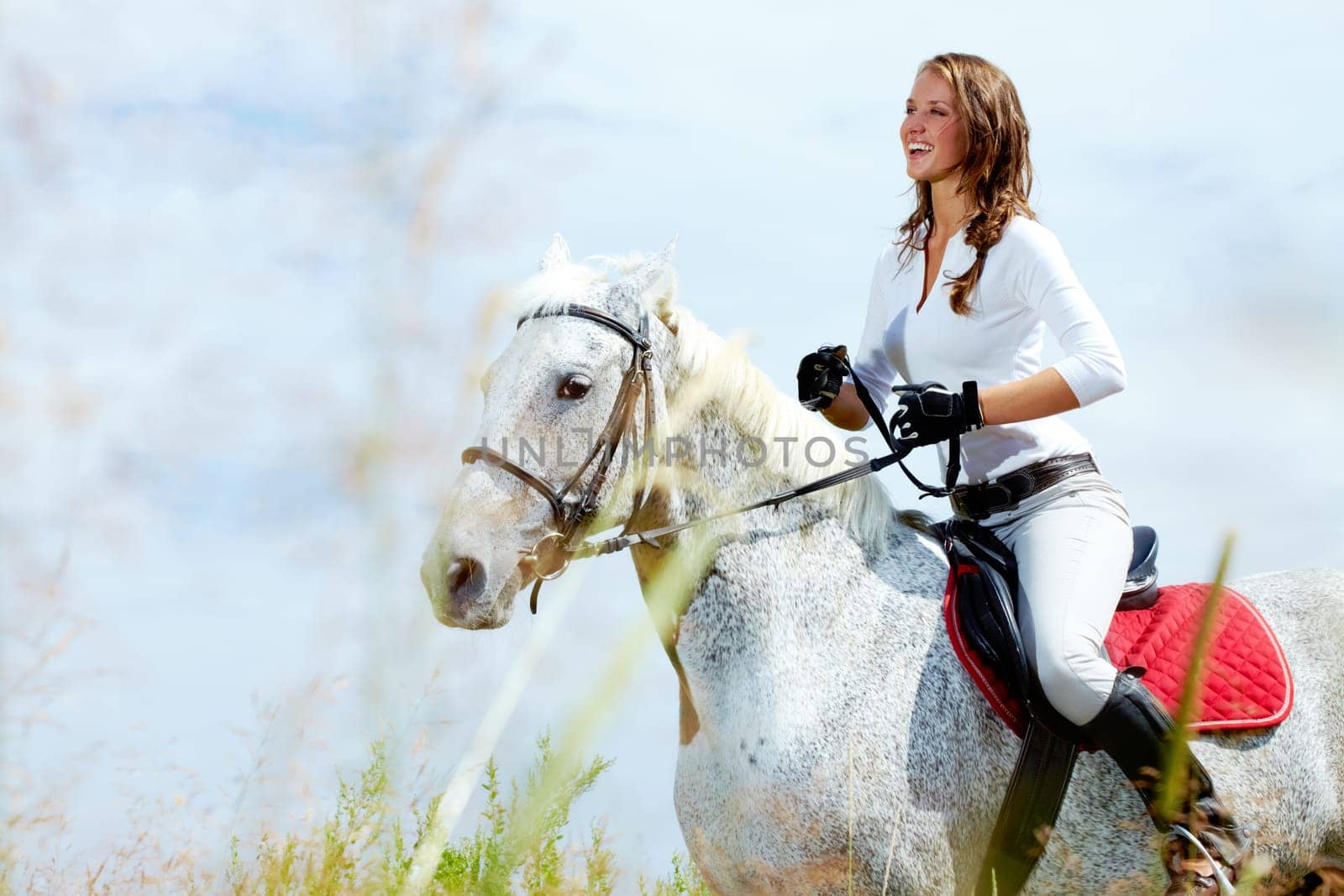 Image of happy female jockey on purebred horse outdoors