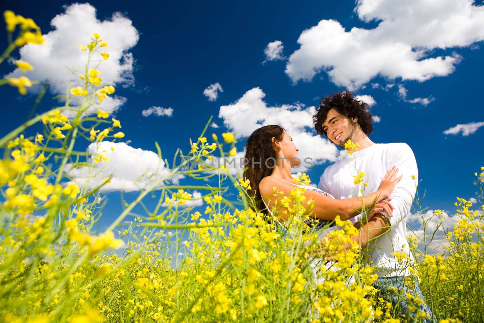 View of amorous couple in golden meadow under summer sky with clouds on it
