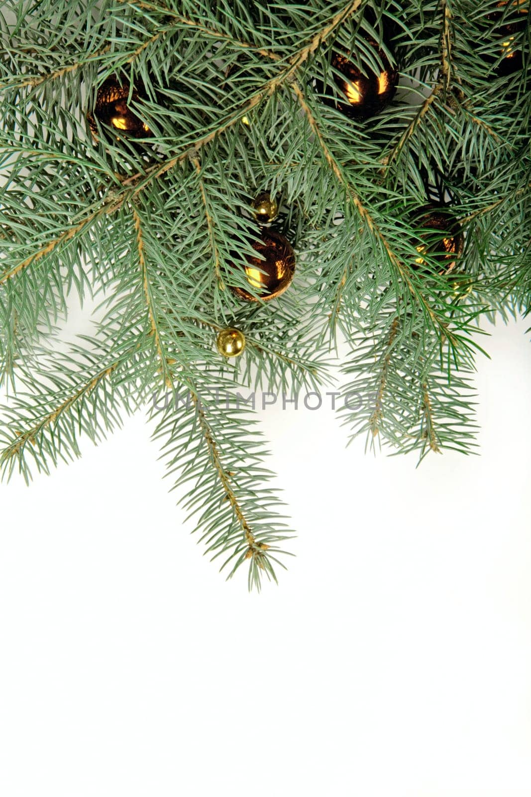 Green twig of fir-tree with christmas yellow balls