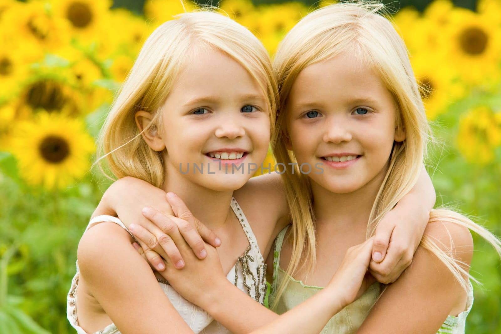 Portrait of cute twins embracing each other on background of sunflower field