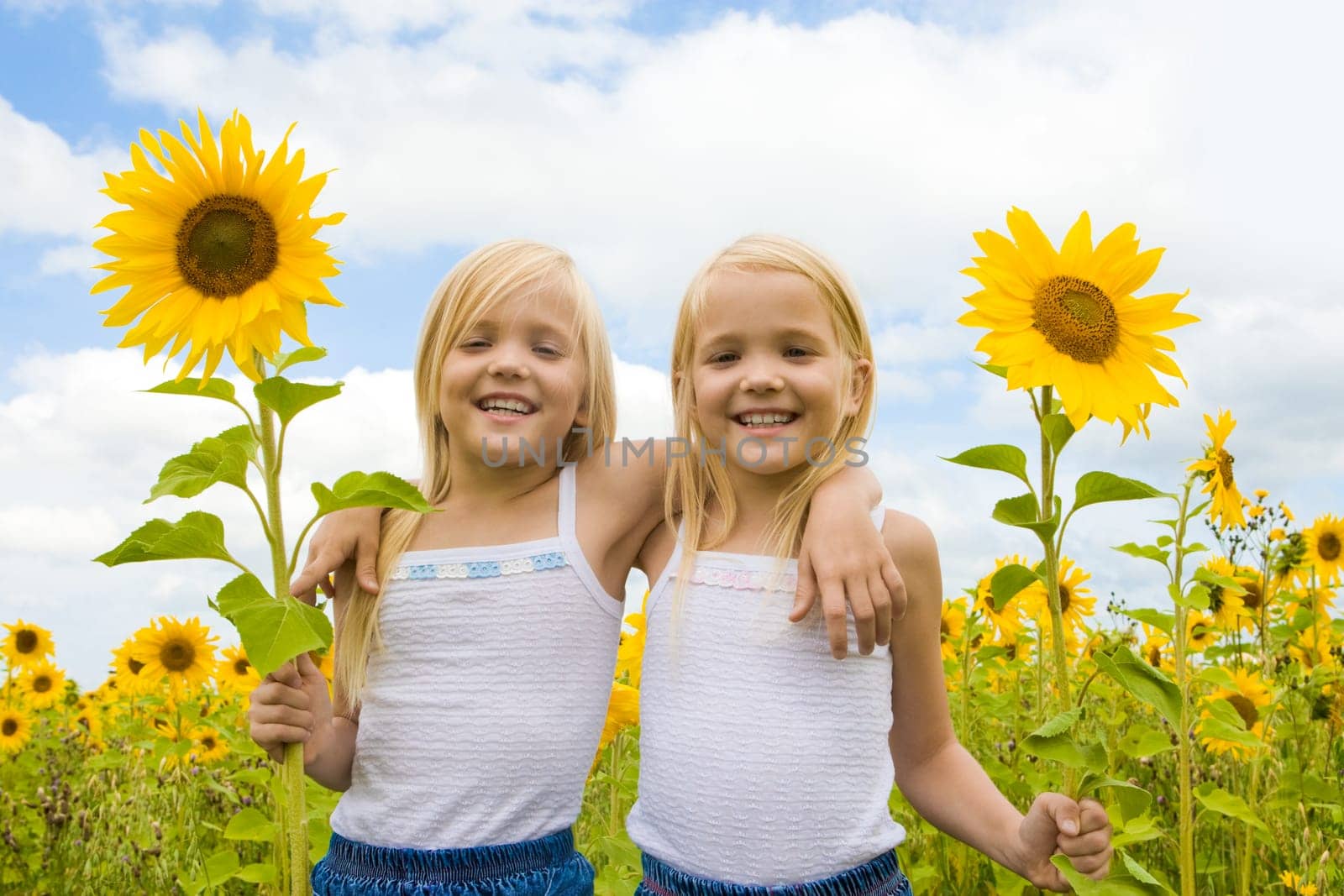 Portrait of cute girls looking at camera and smiling in sunflower field