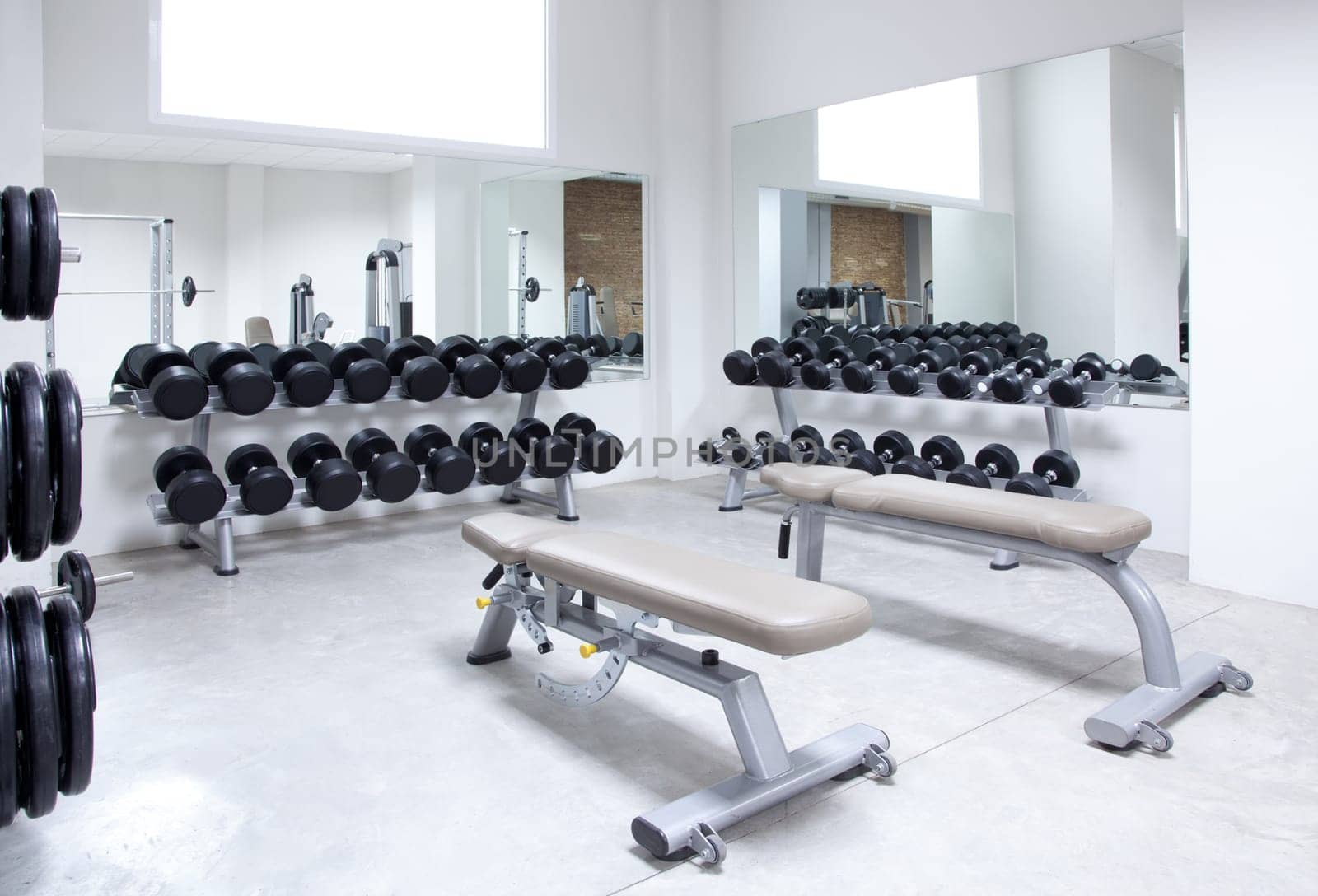 Fitness club weight training equipment gym modern interior