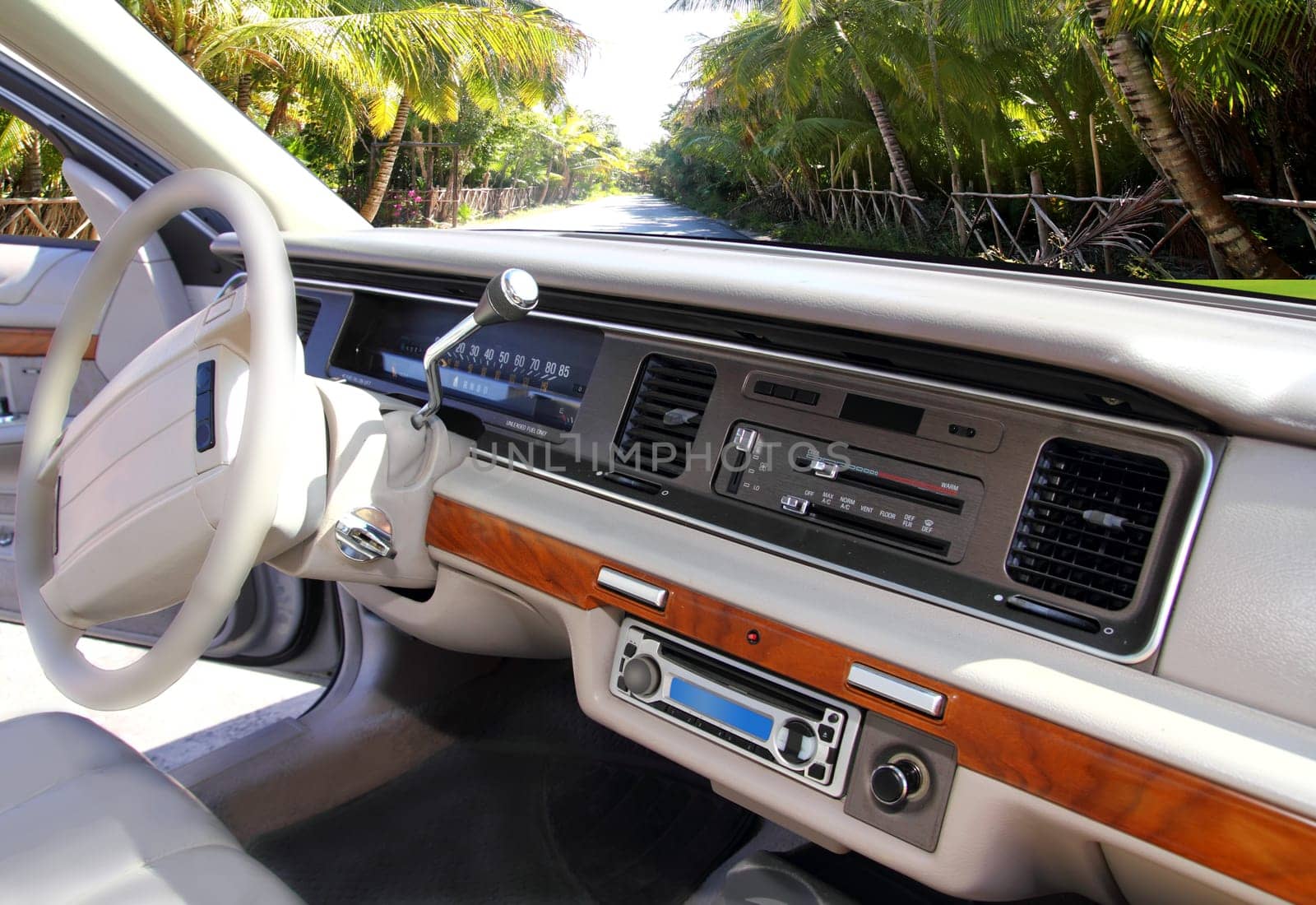 retro vintage car indoor with tropical palm tree road in window