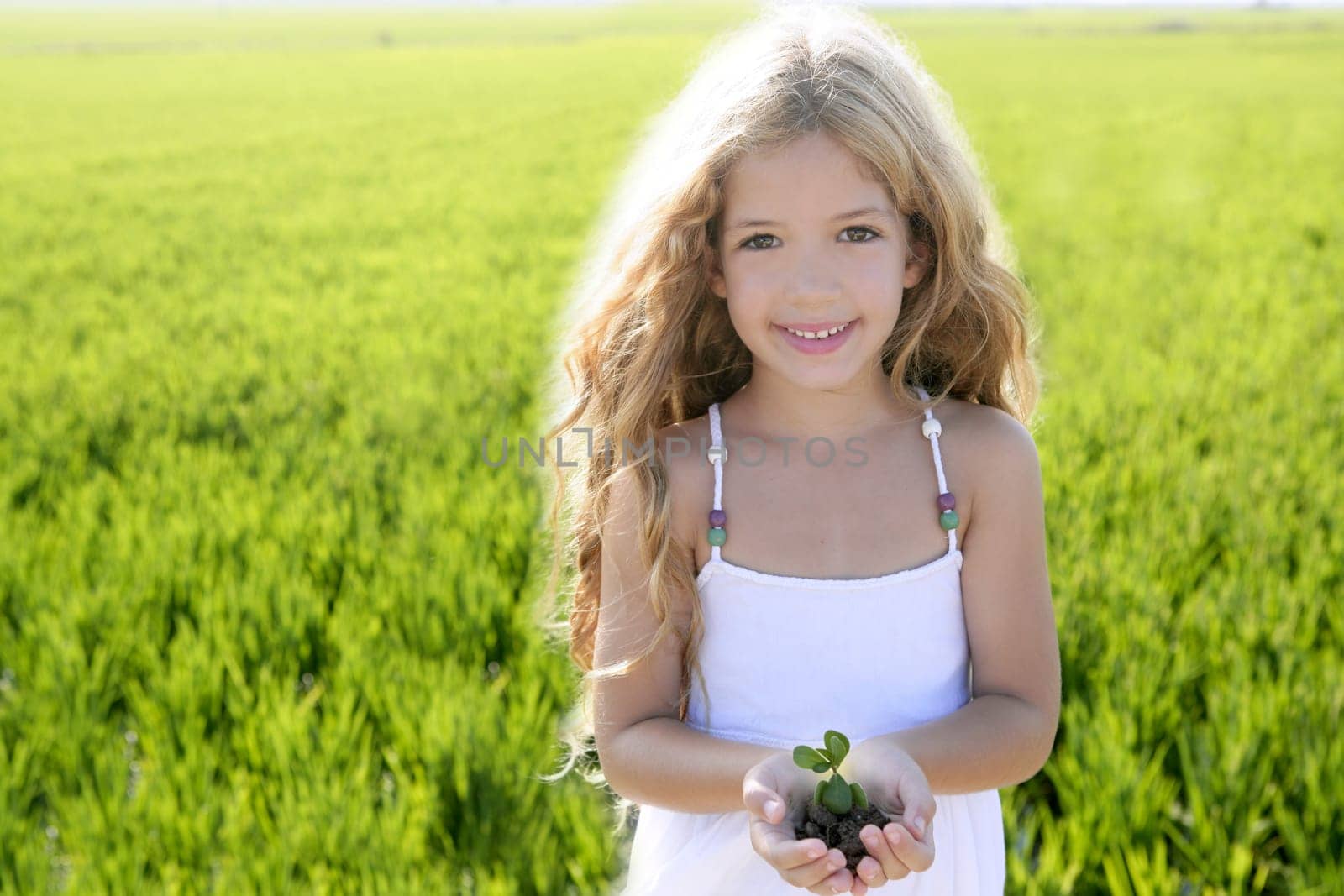 sprout plant growing from little girl hands outdoor rice field