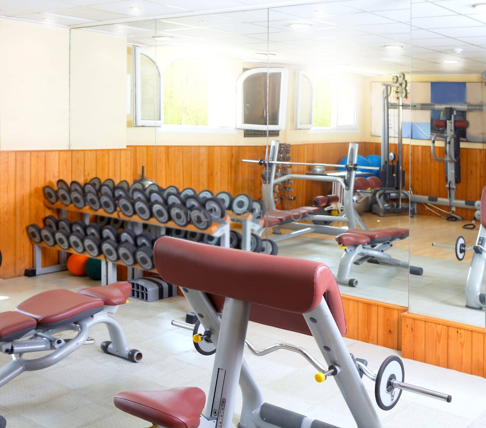 Gym interior body buliding weights exercise room wooden wall