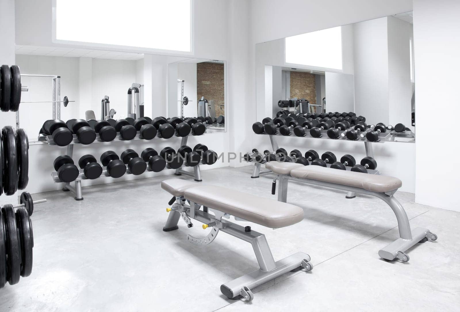 Fitness club weight training equipment gym modern interior
