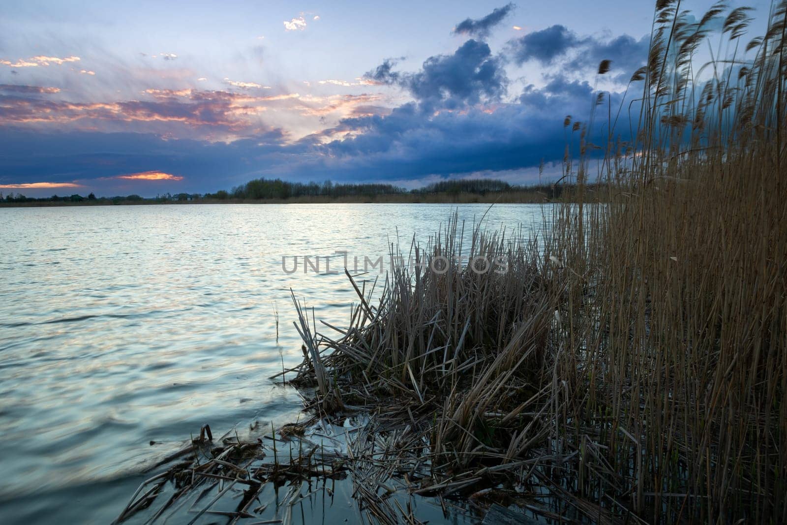 Evening view of the clouds and lake with dry reeds by the shore