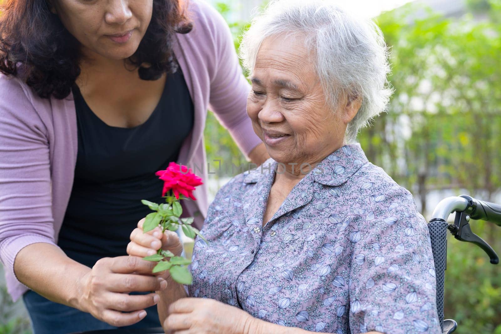 Asian elderly woman holding red rose flower, smile and happy in the sunny garden.