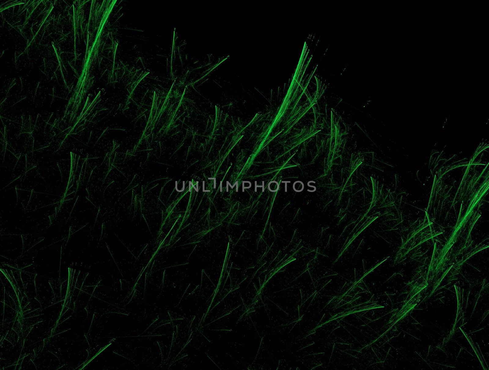 Imaginatory lush fractal texture image abstract background