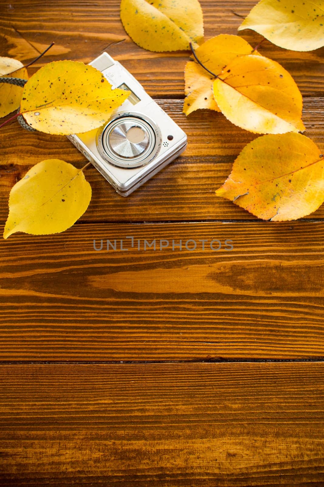 Autumn foliage with a camera on a wooden table. Autumn time