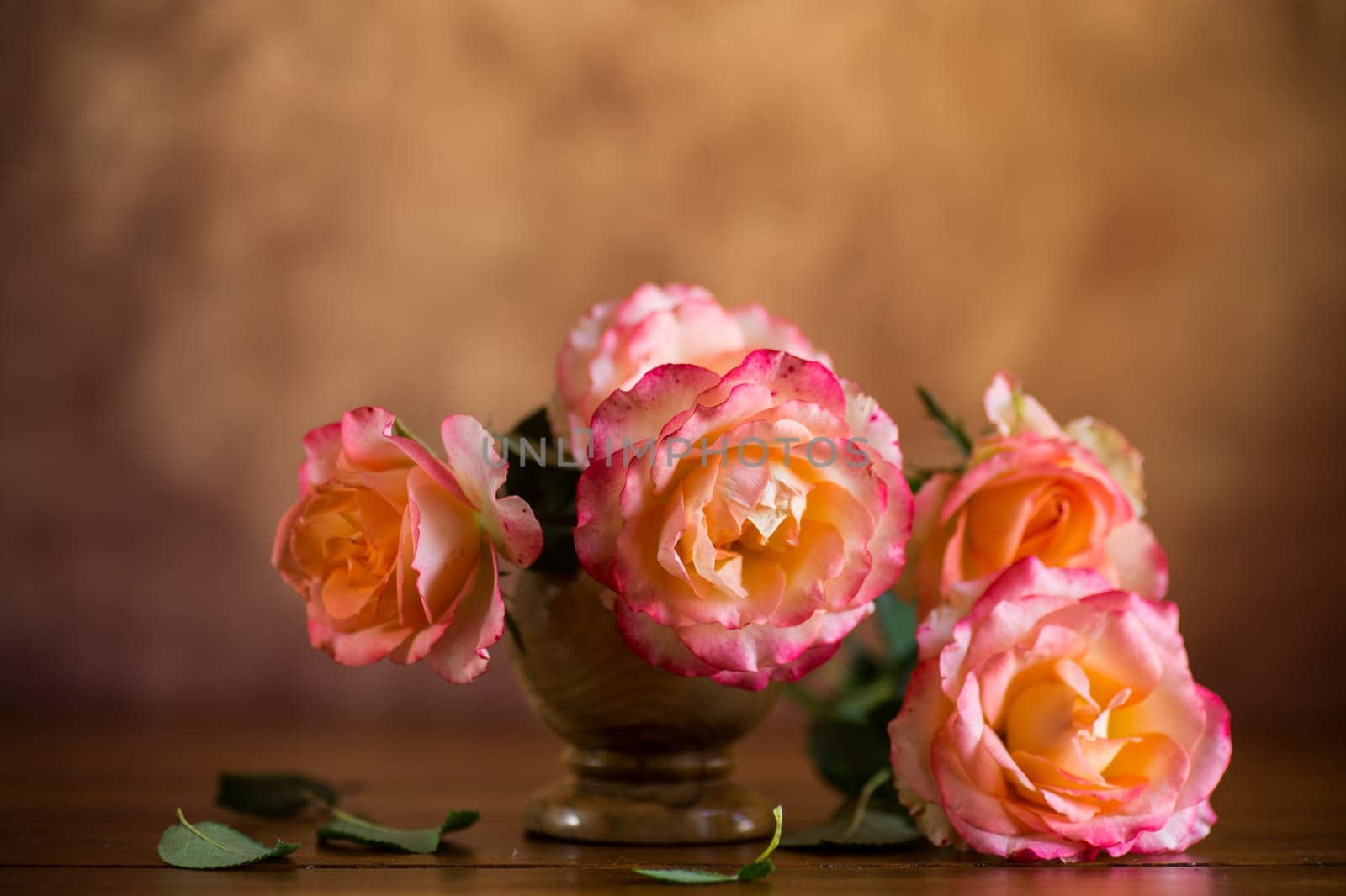 Beautiful blooming yellow and pink rose flowers on abstract brown background
