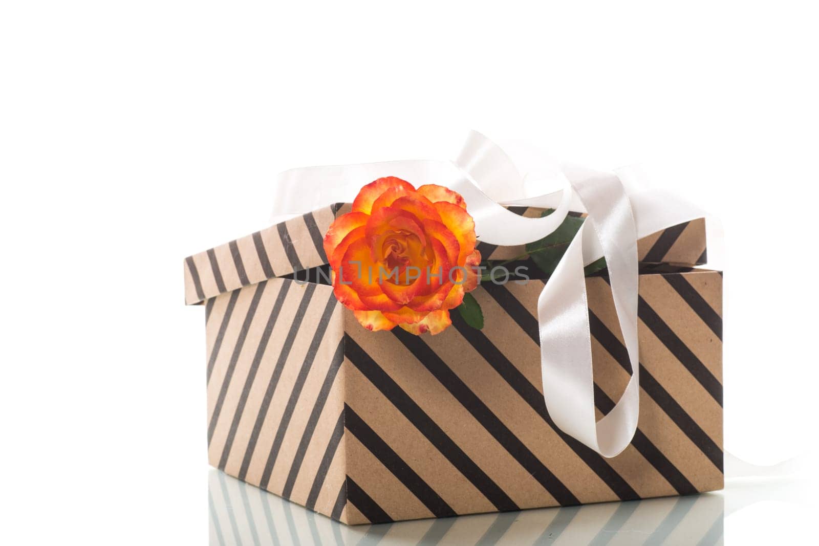 gift box with ribbons and beautiful roses inside, isolated on a white background.