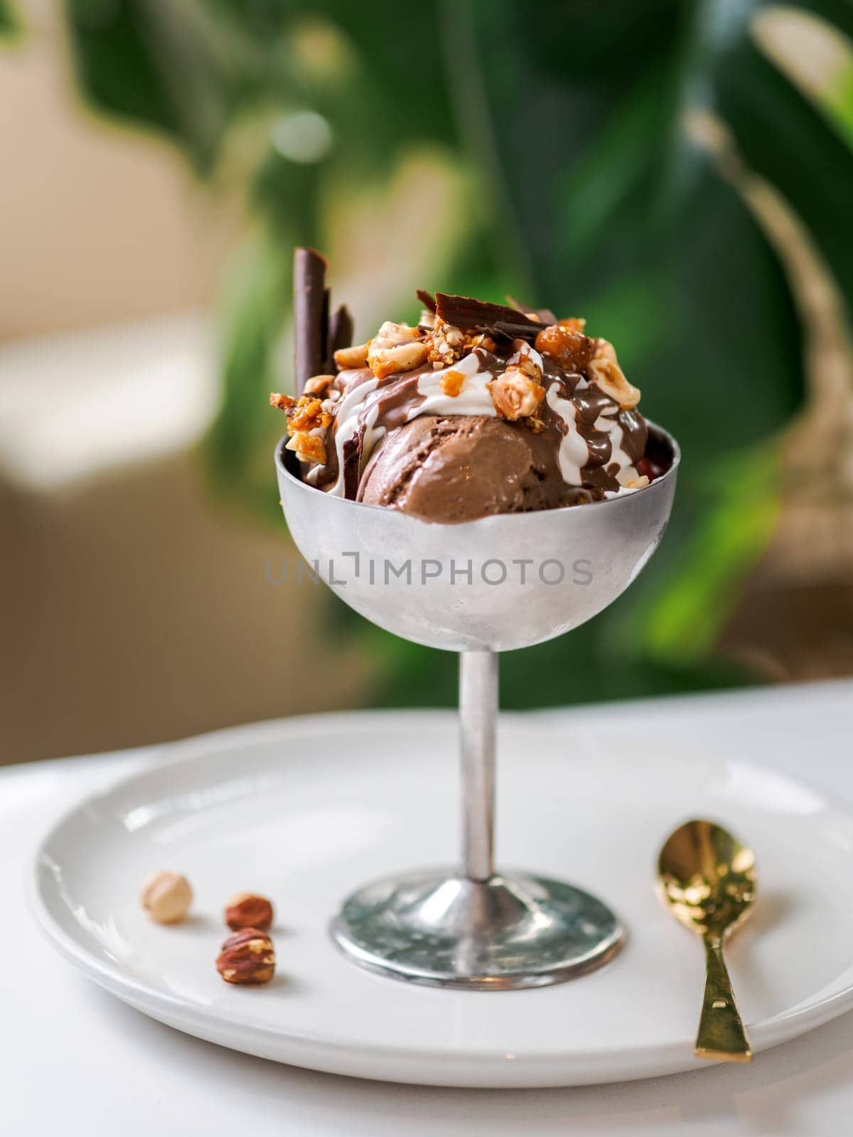 Chocolate ice cream with hazelnuts chocolate chips by fascinadora