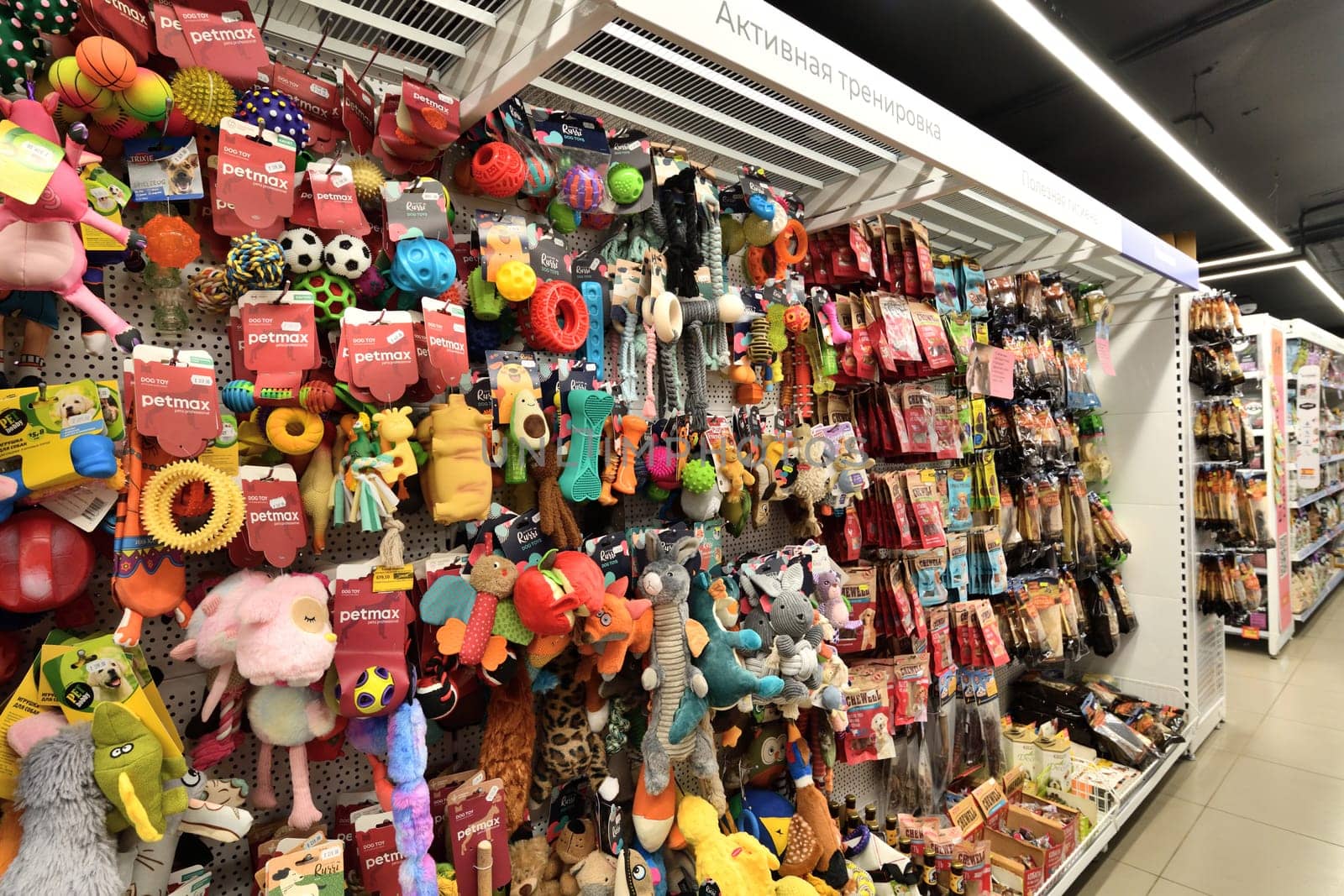 Moscow, Russia - Oct 18. 2023. Interior of the Four paws pet store at Zelenograd