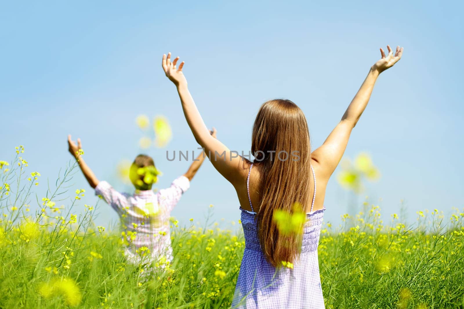 Backs of young couple with raised arms standing in flower field