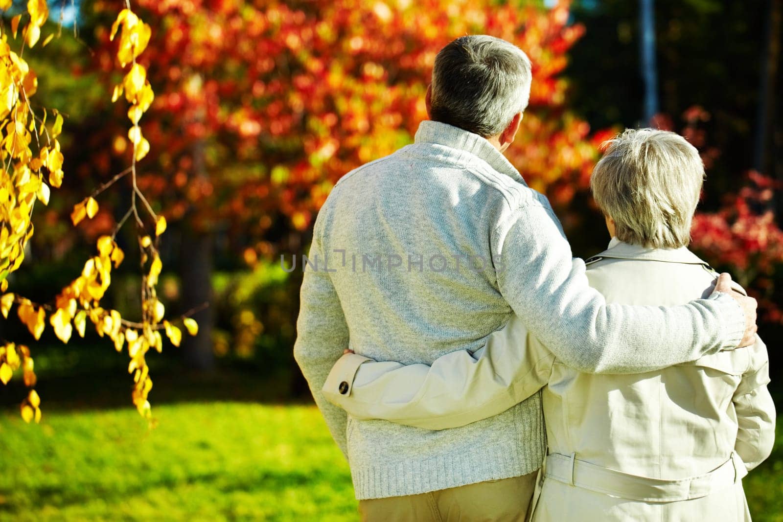 Rear view of aged man and woman taking a walk in autumnal park