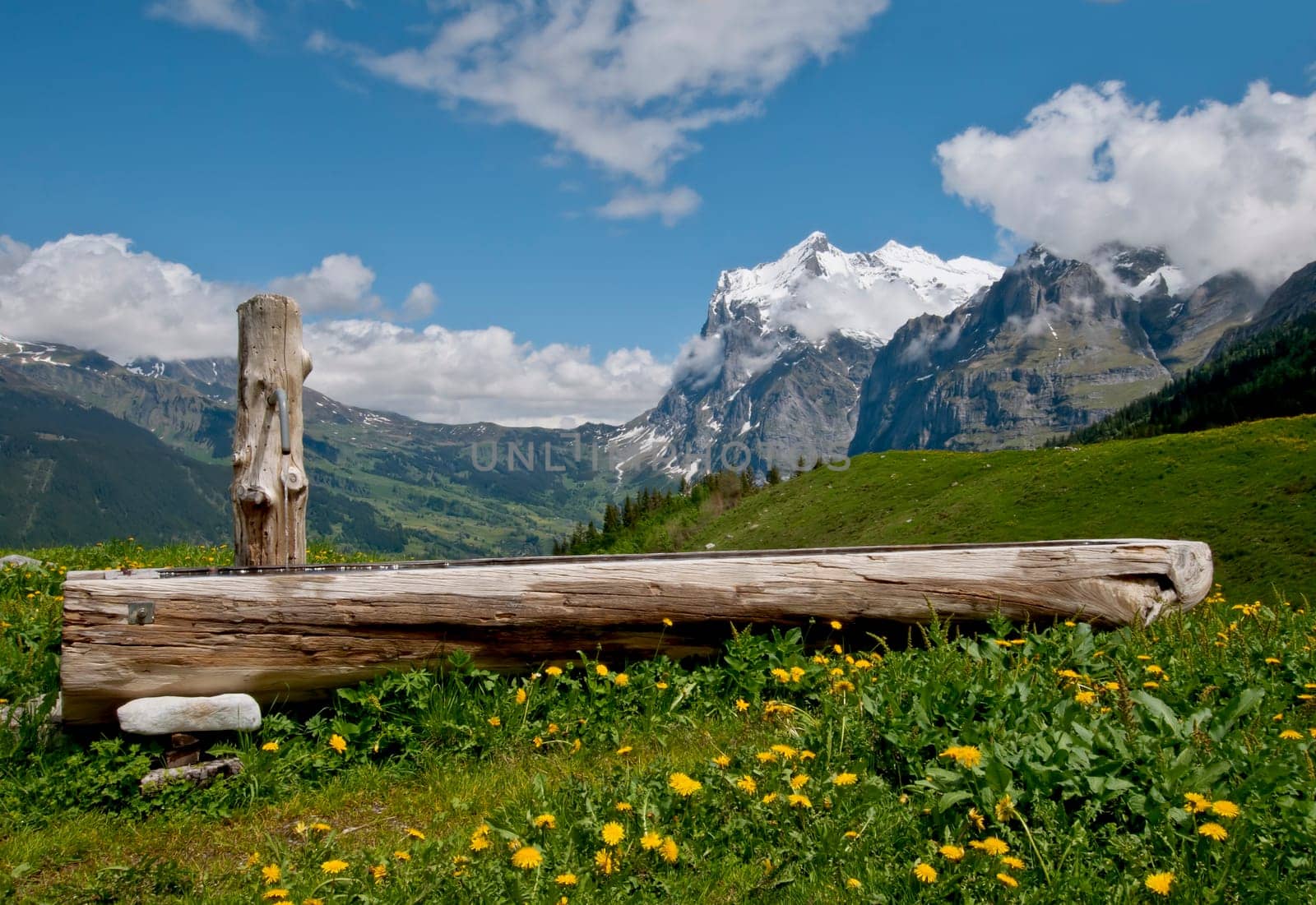 Fountain in front of Wetterhorn