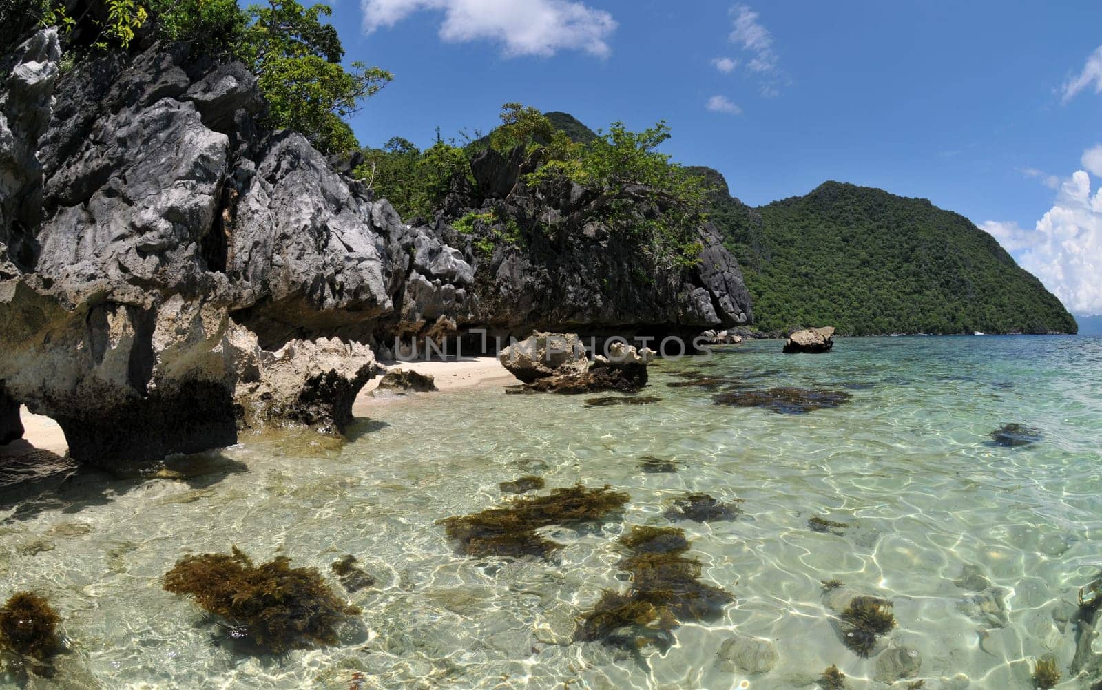 Landscape in Palawan / Philippines