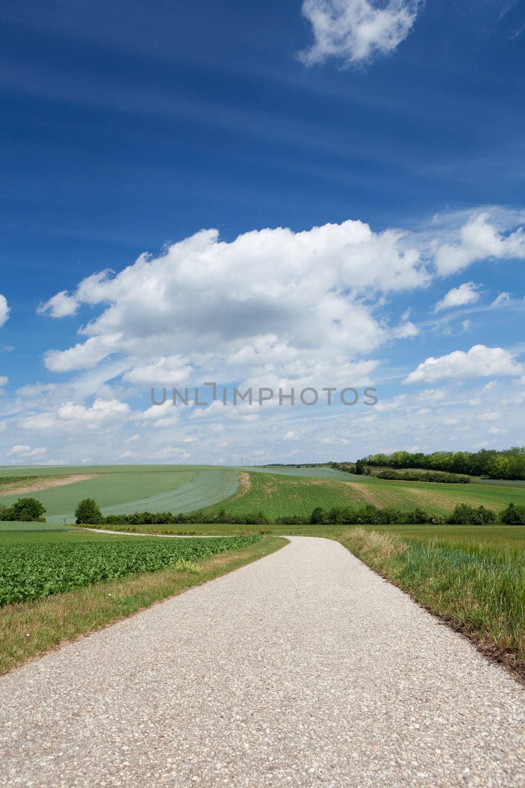 Landscape with road,traffic route without car in nature
