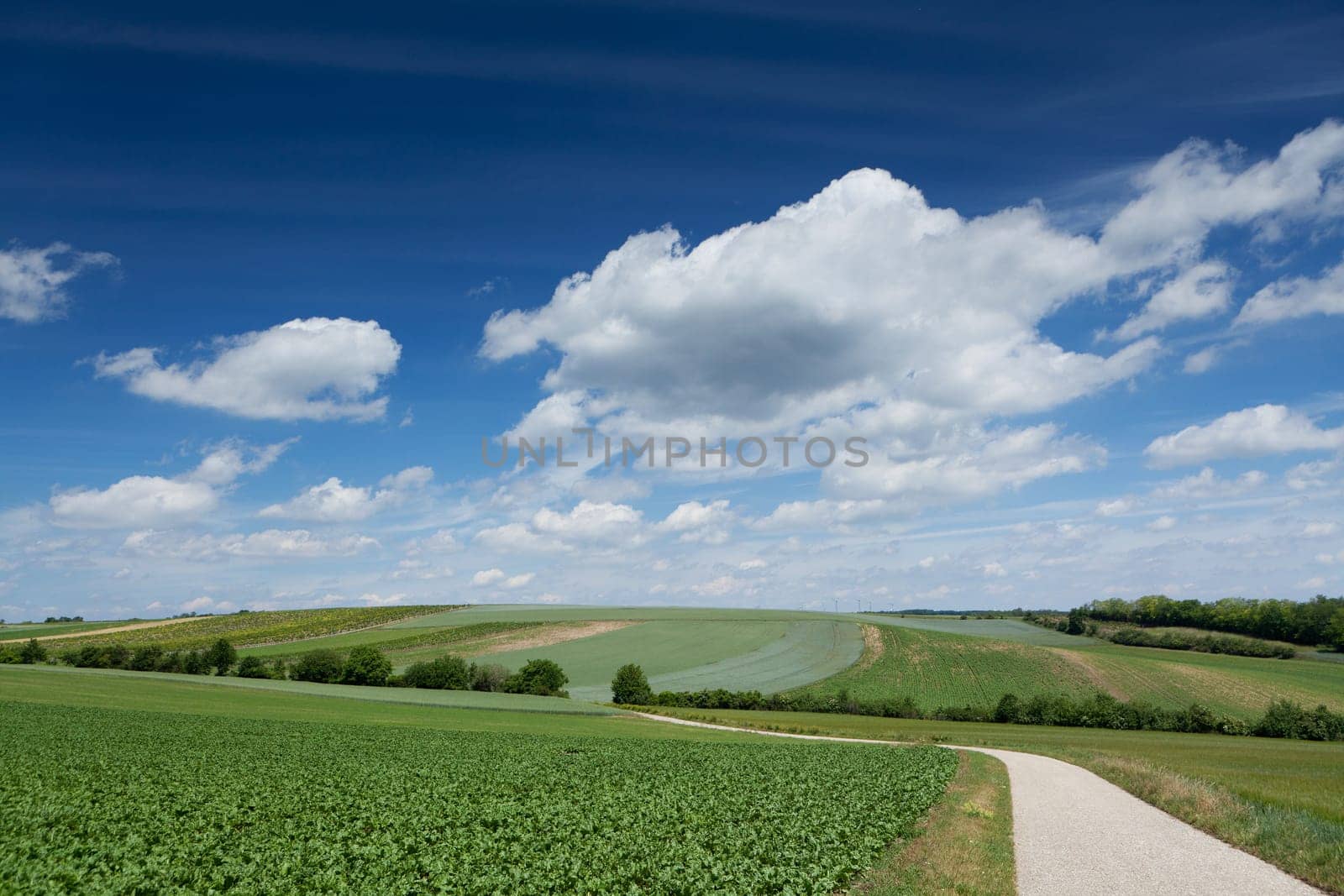 Landscape with road,traffic route without car in nature