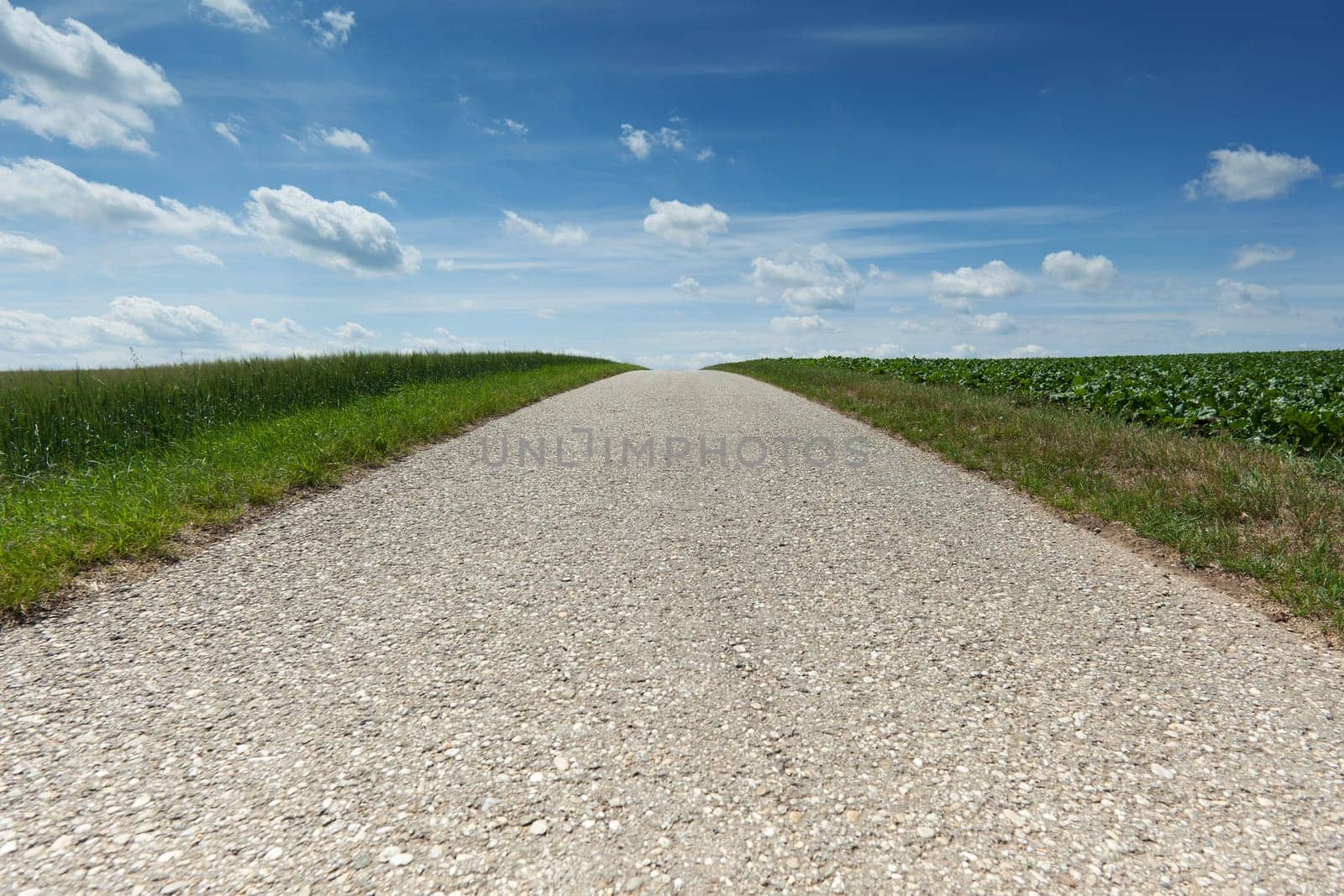Landscape with road,traffic route without car in nature