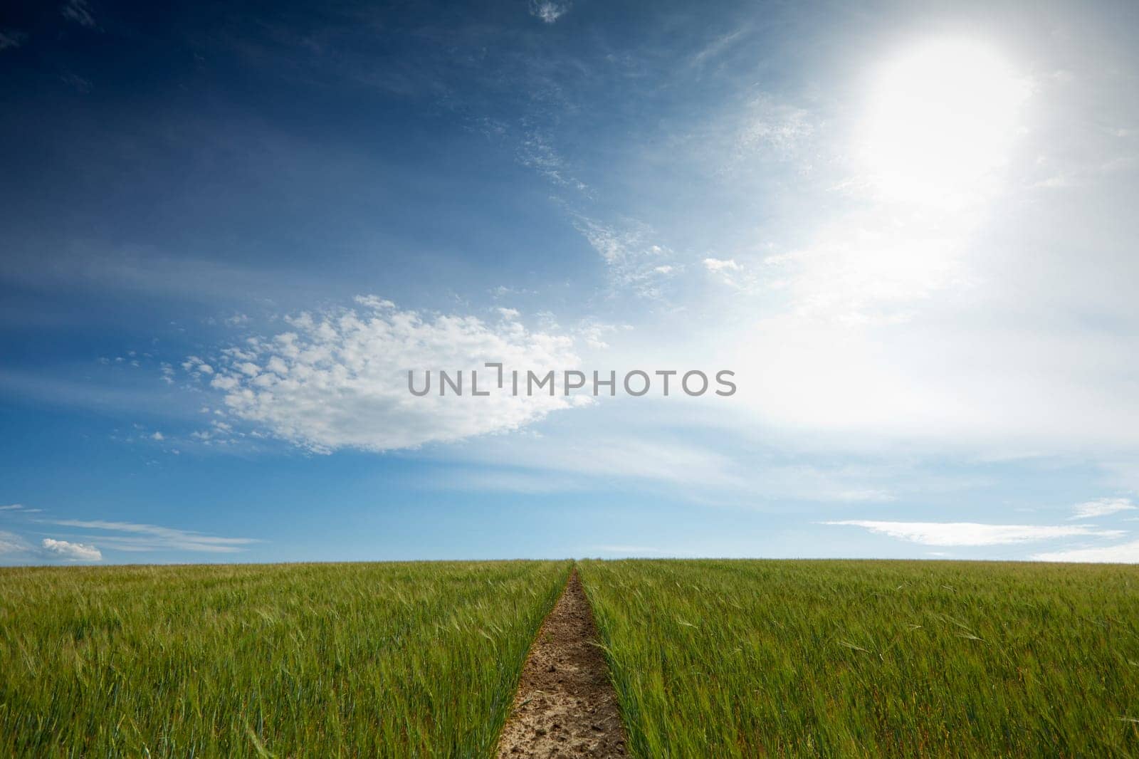 Path to the horizon,field in the way with sky and clouds