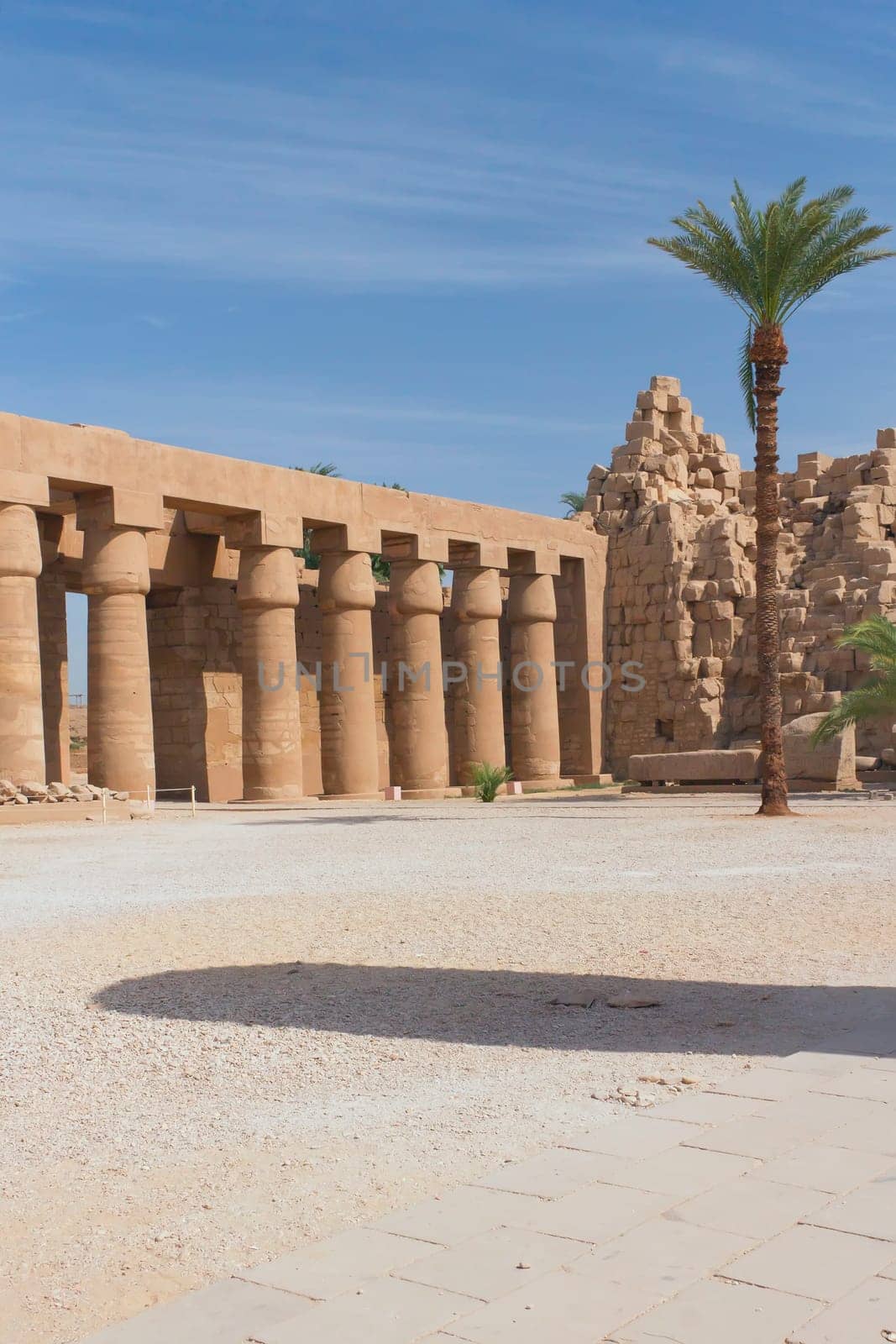 The first courtyard of the temple at Karnak. Temple pillars and palm.  (Egypt)