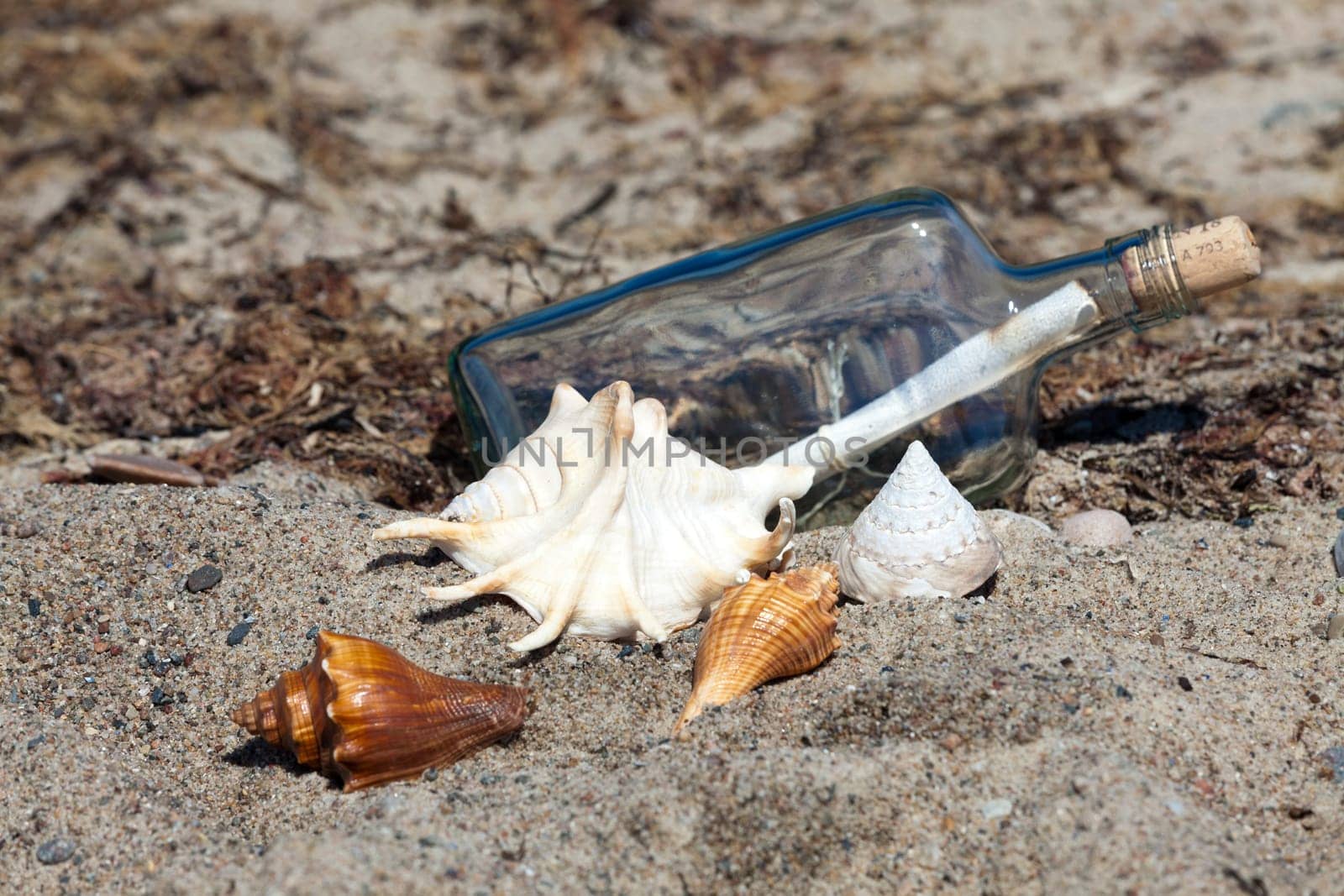 Message in a bottle on the beach