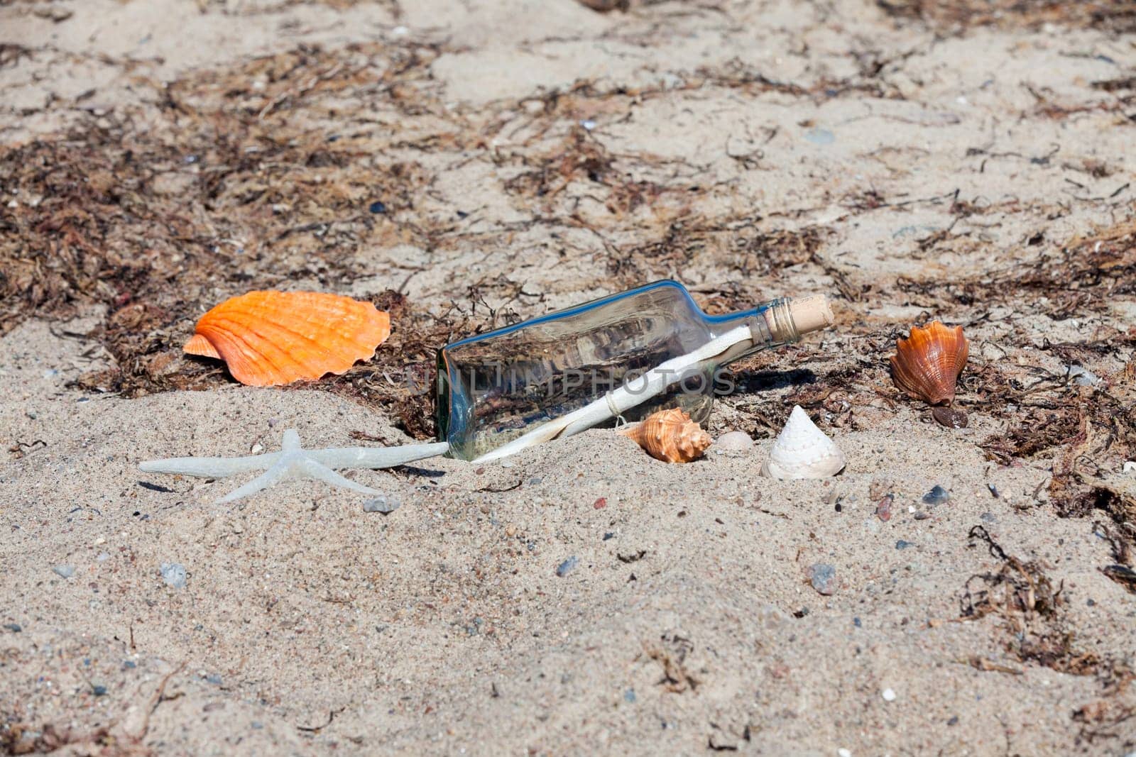 Message in a bottle on the beach