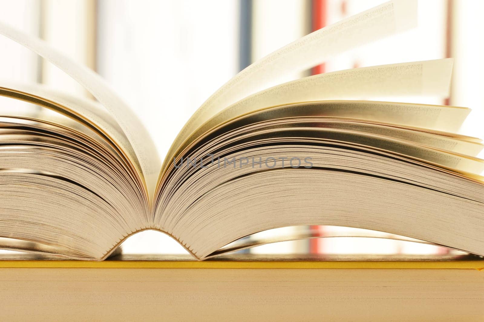 Composition with stack of books