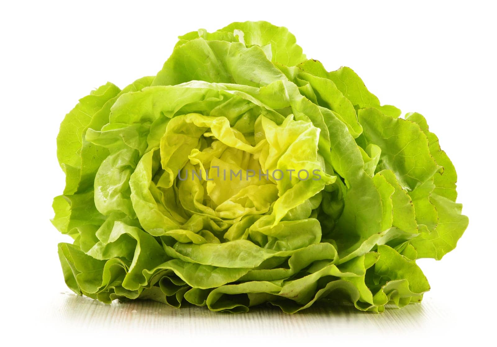 Fresh lettuce isolated on white